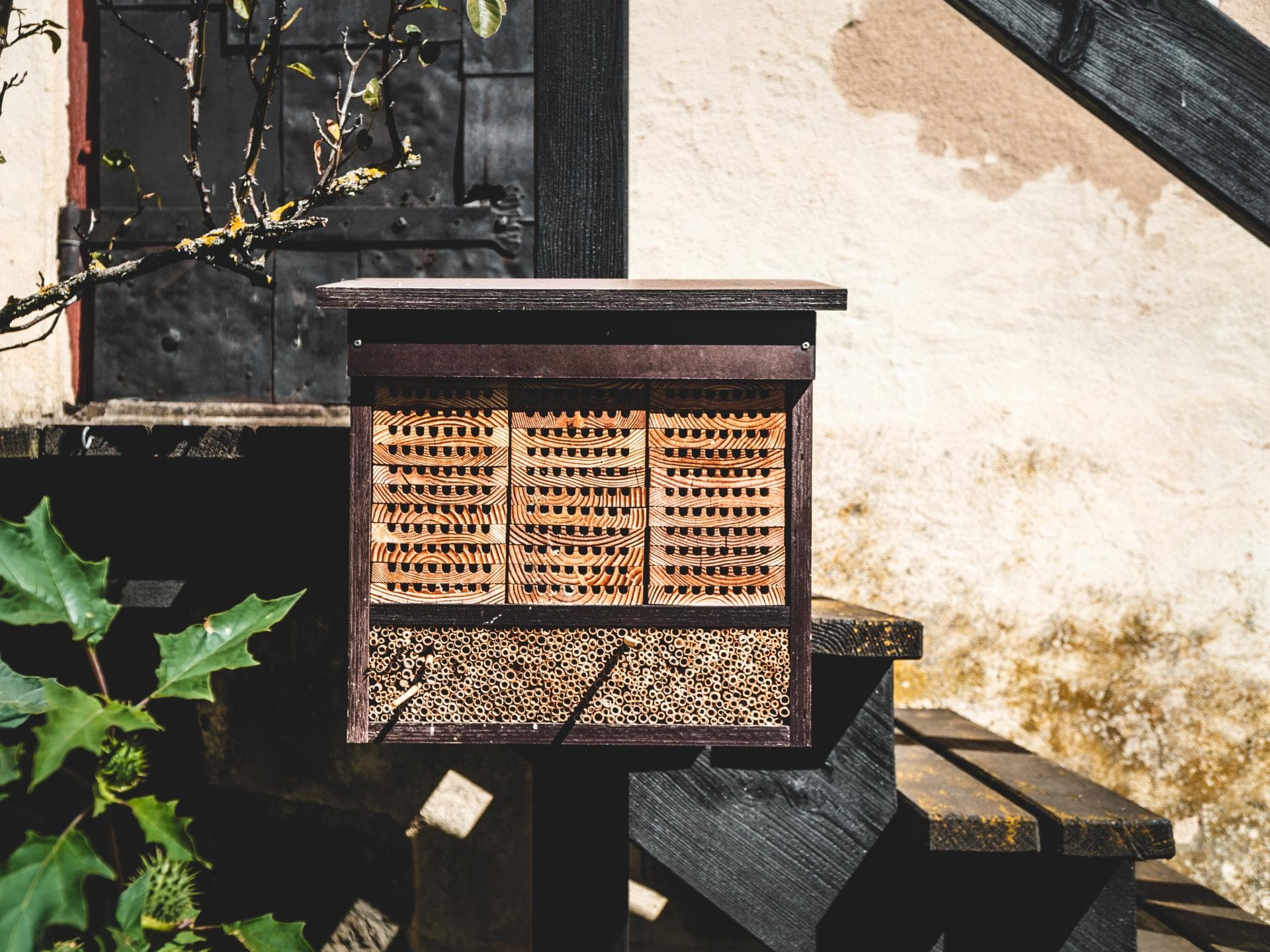 Insektenhotel 