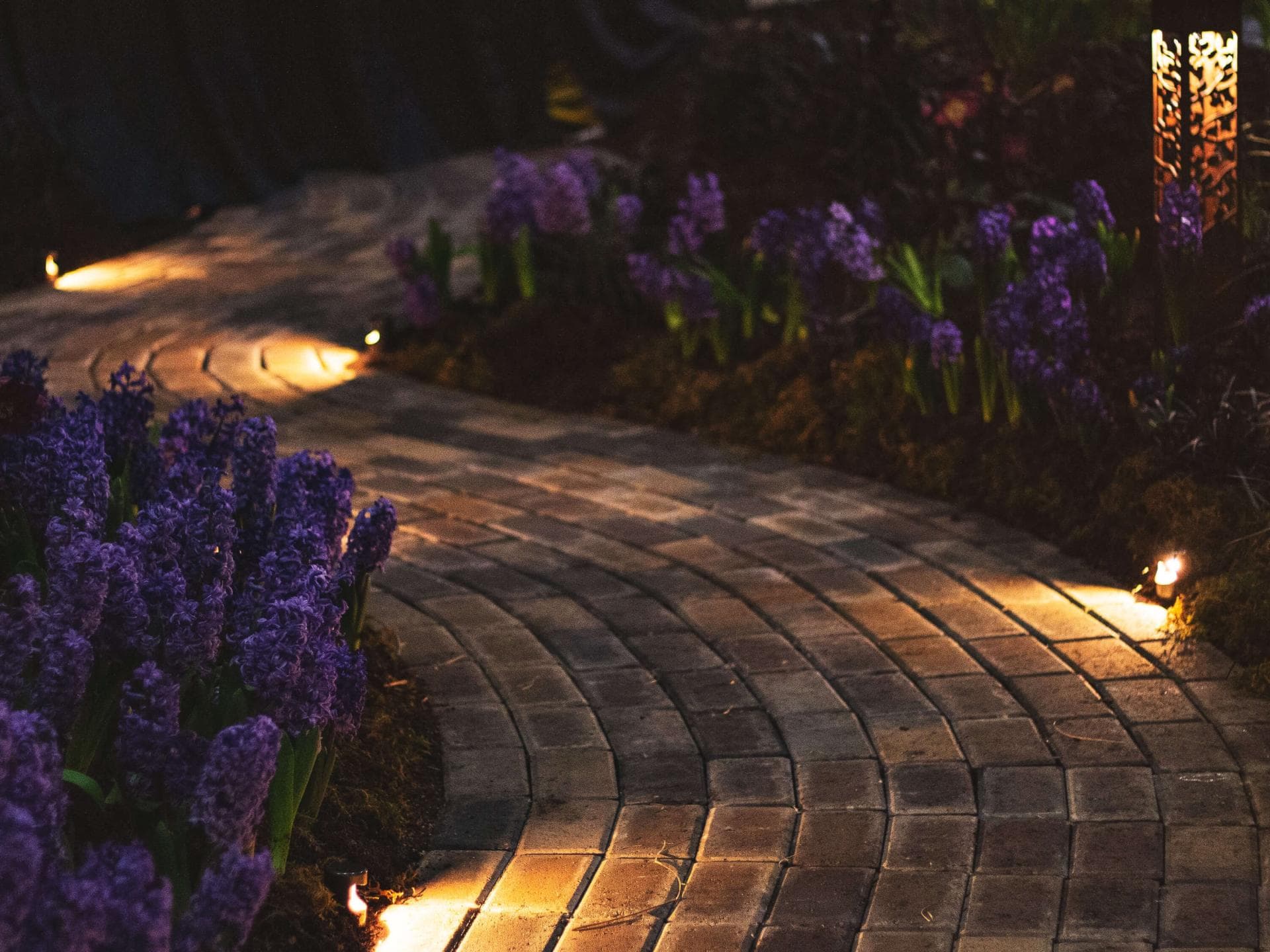 Gartenweg bei Nacht 