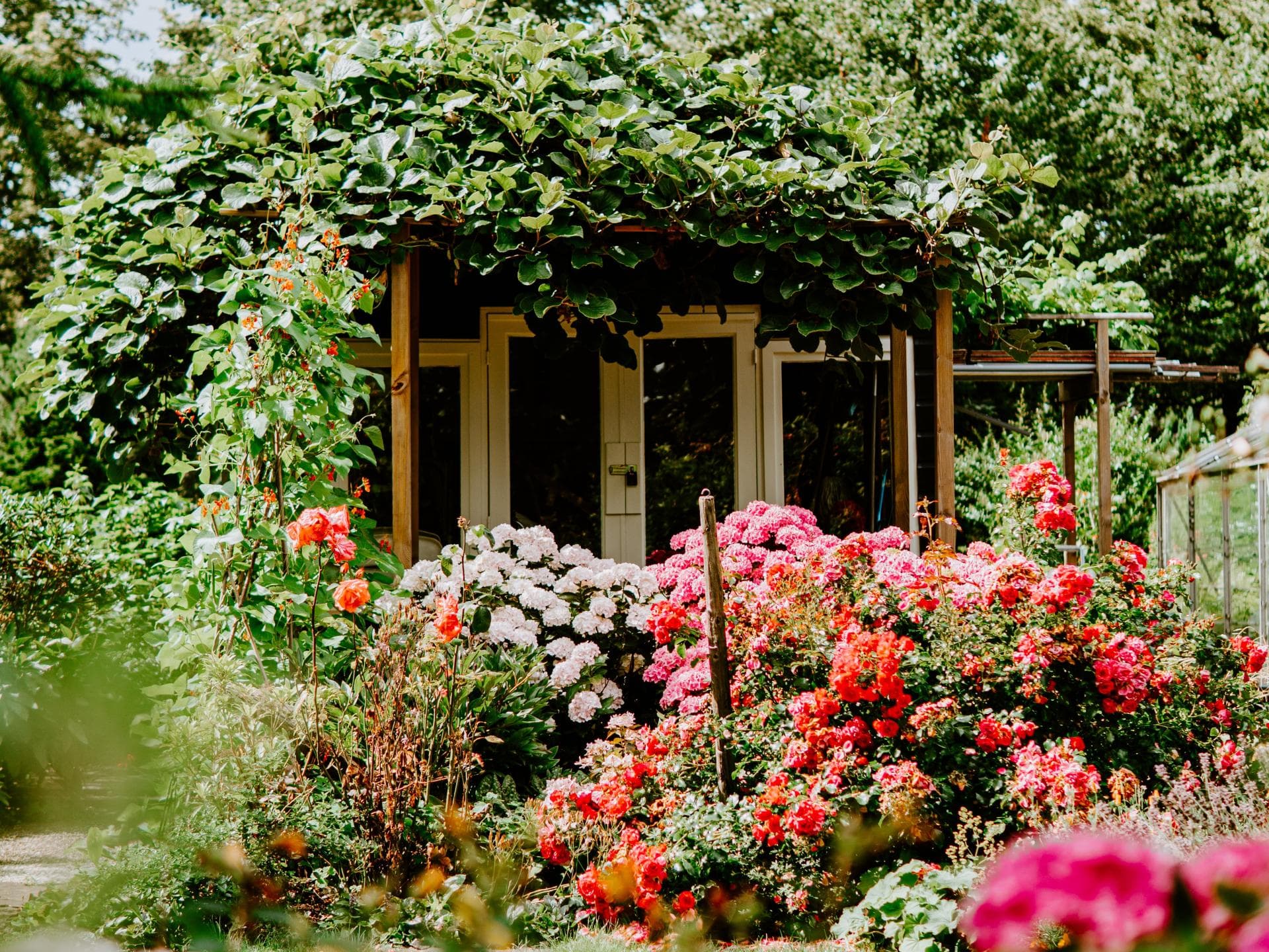 Allergikerfreundlicher Garten 