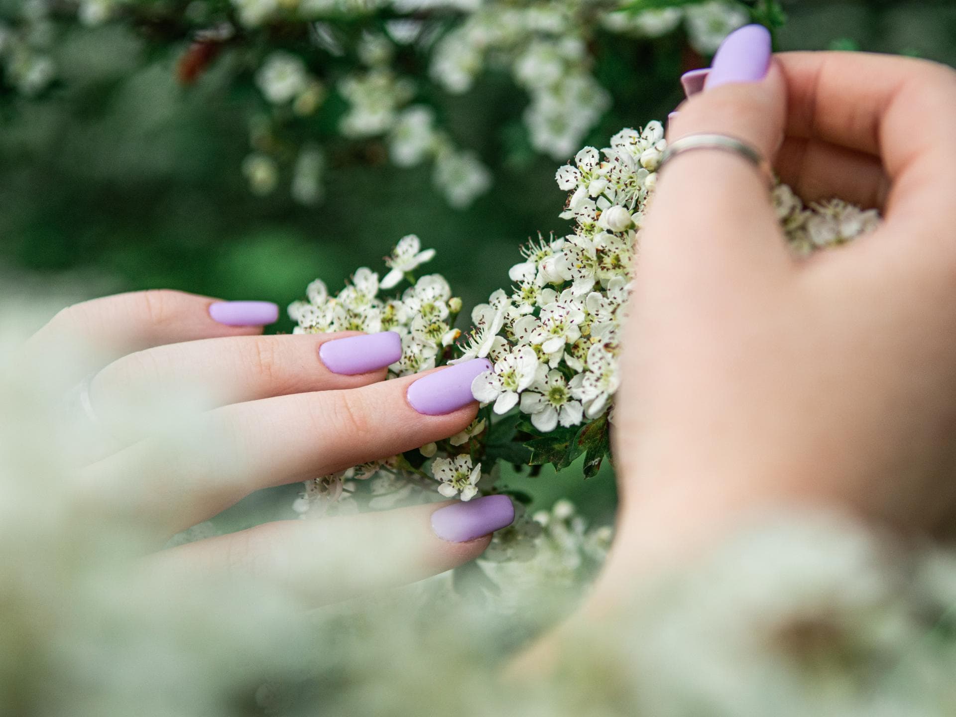 Lila Nagellack Lila Nagellack