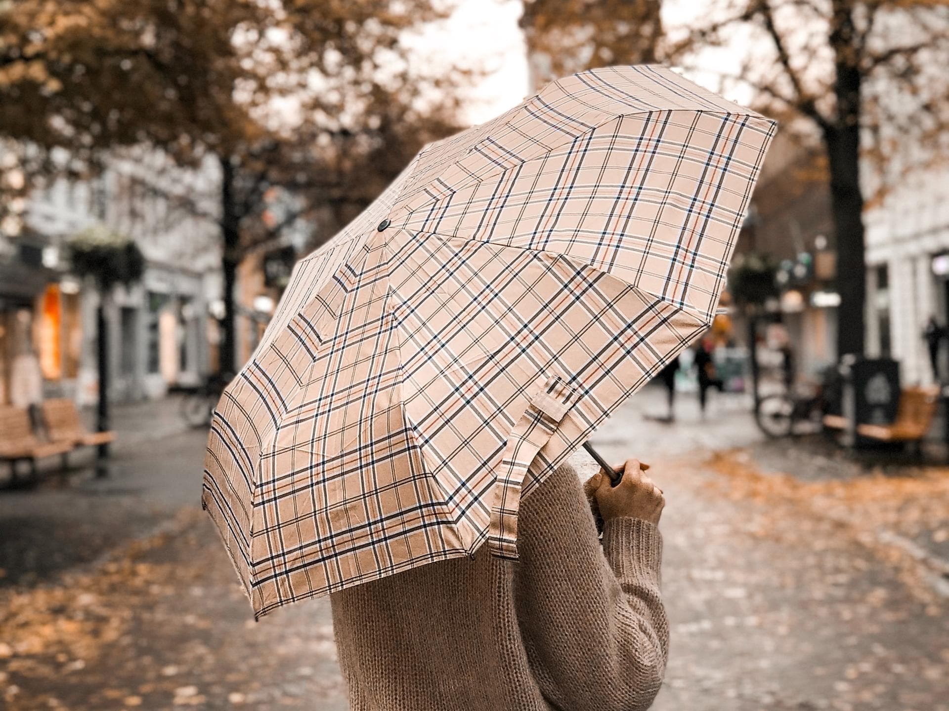 Wind und Regen 