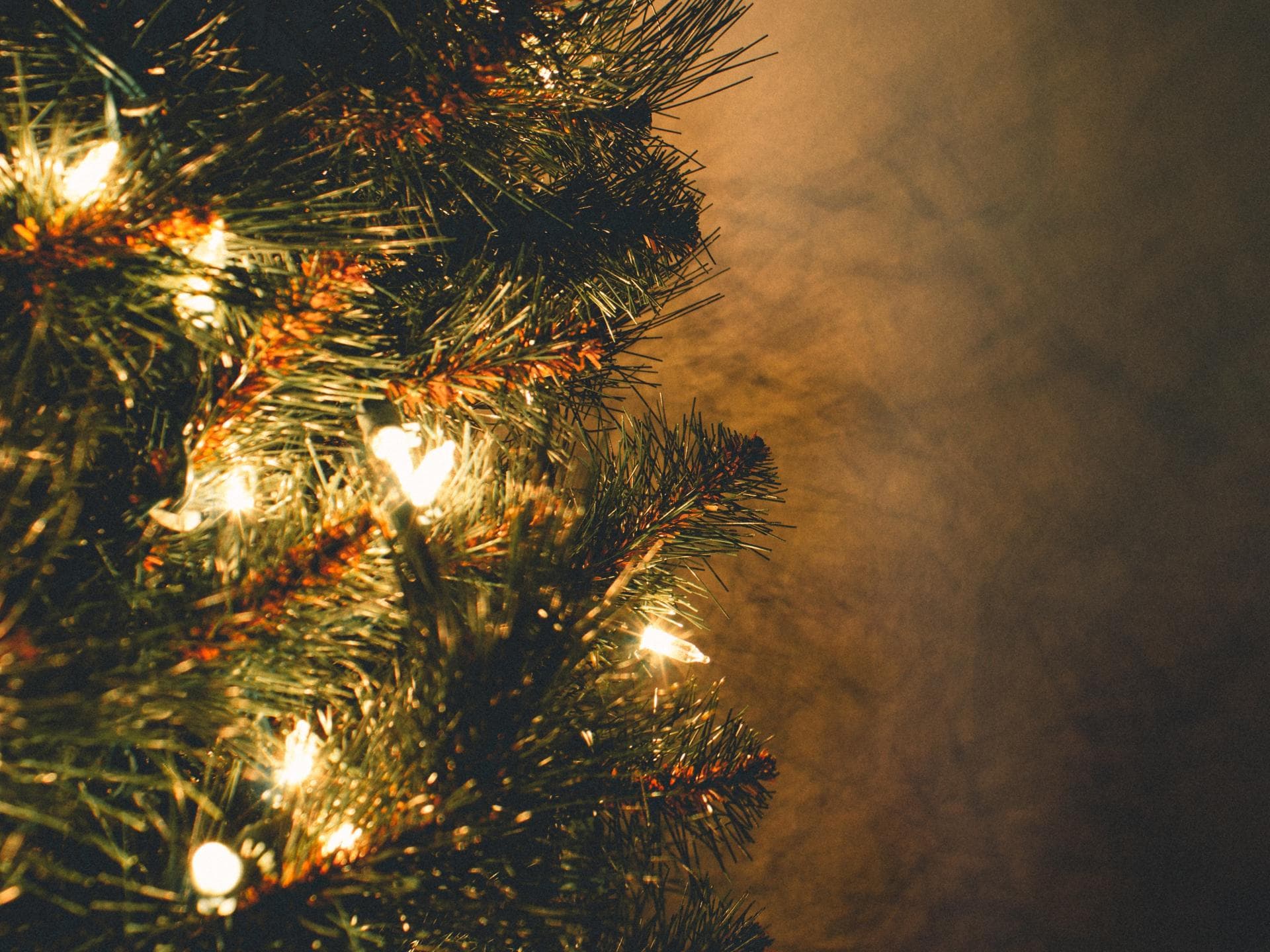 Weihnachtsbaum 