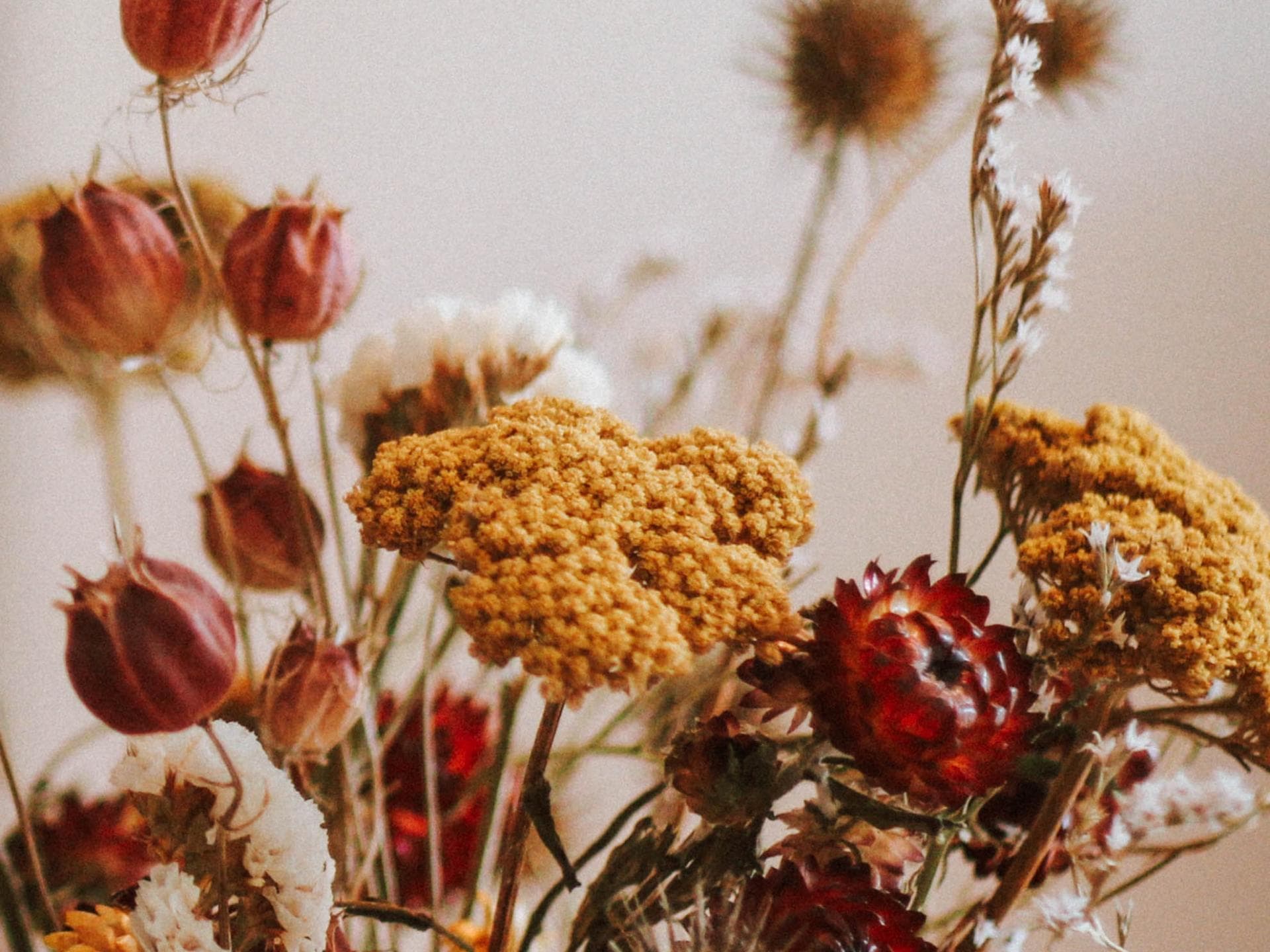 Trockenblumen 