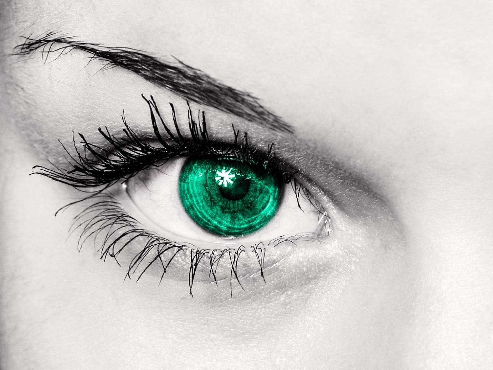 Augen Augen