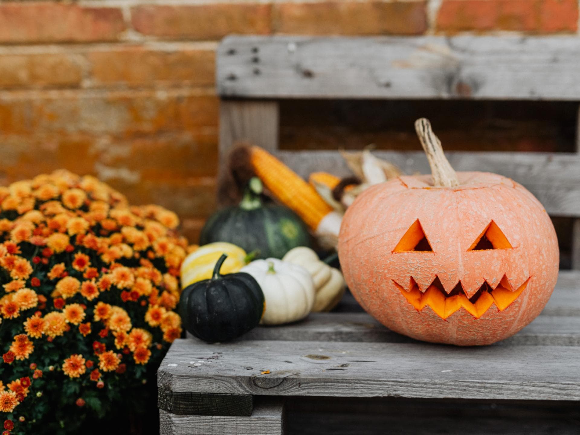 Halloween-Kürbis
