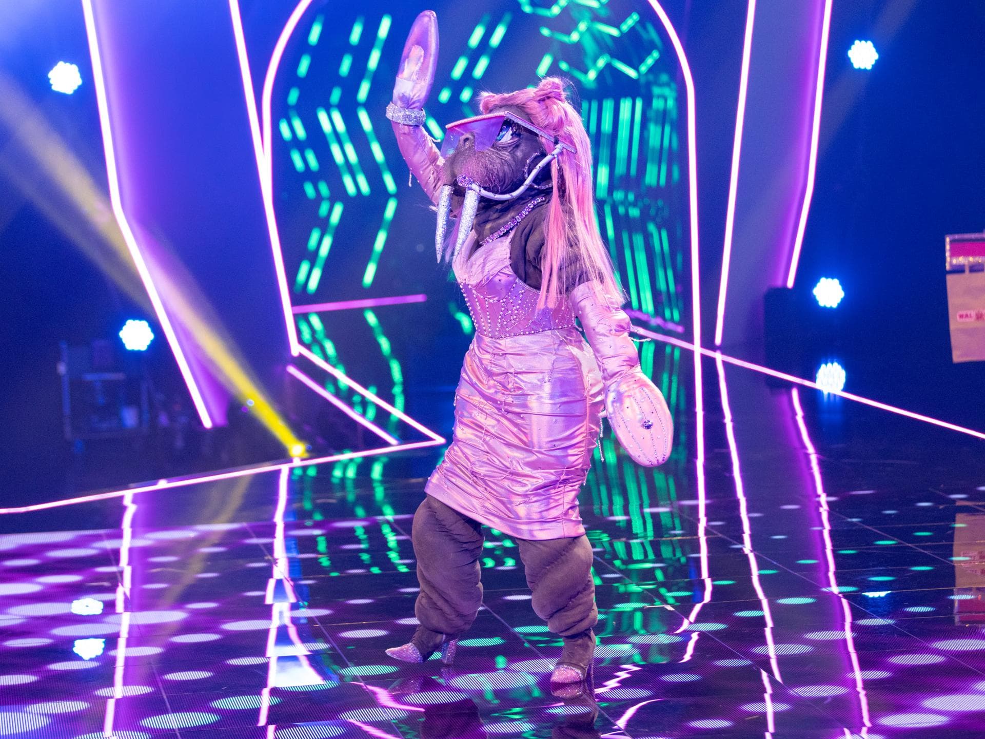 The Masked Singer 