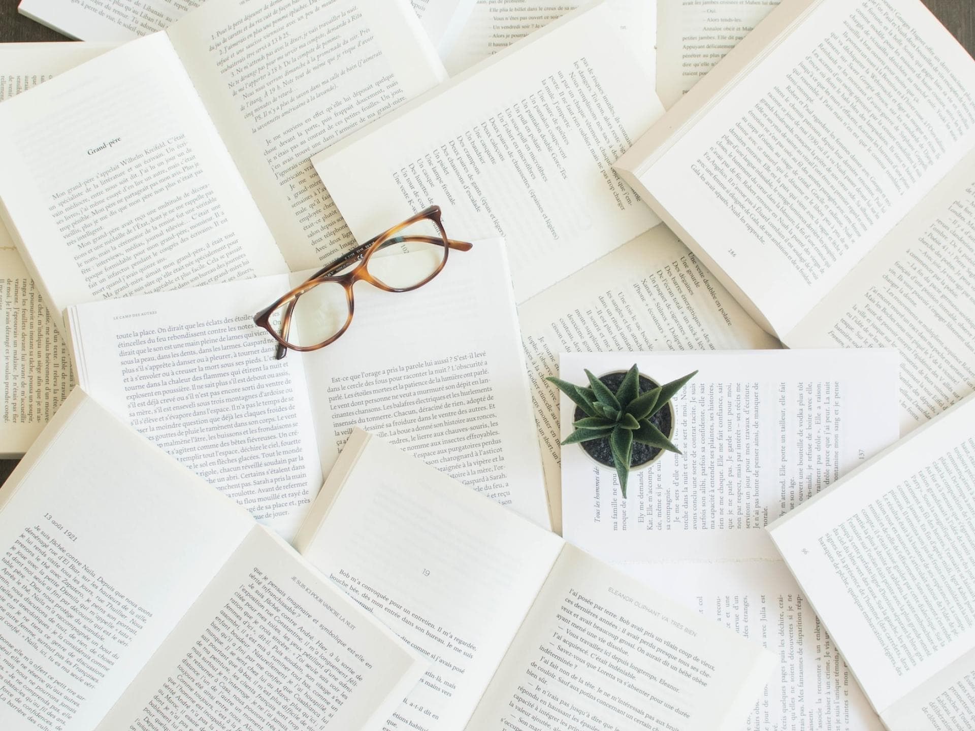 Bücher auf der Spiegel-Bestsellerliste Bücher auf der Spiegel-Bestsellerliste