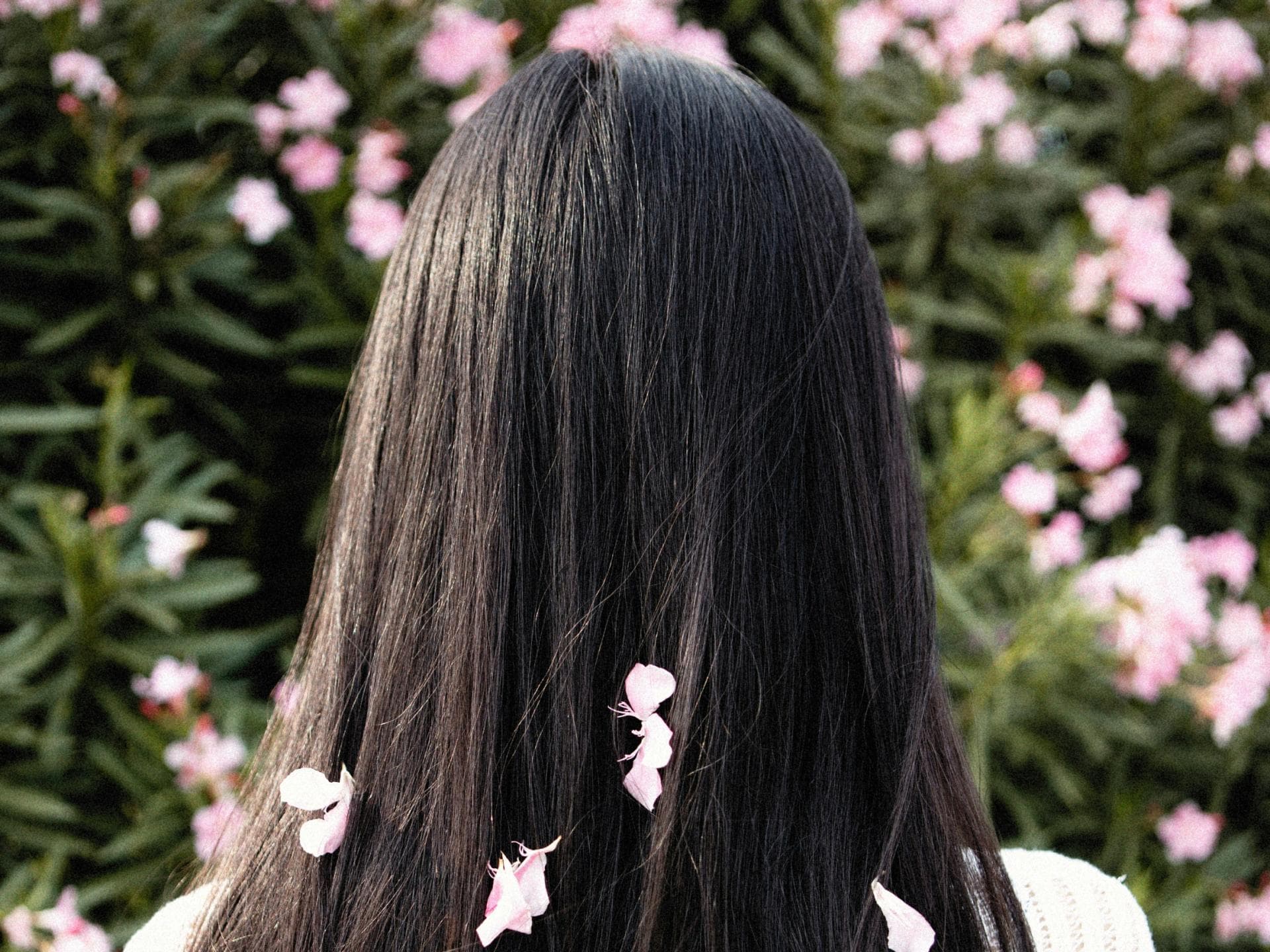 Seidig-glänzendes Haar Seidig-glänzendes Haar