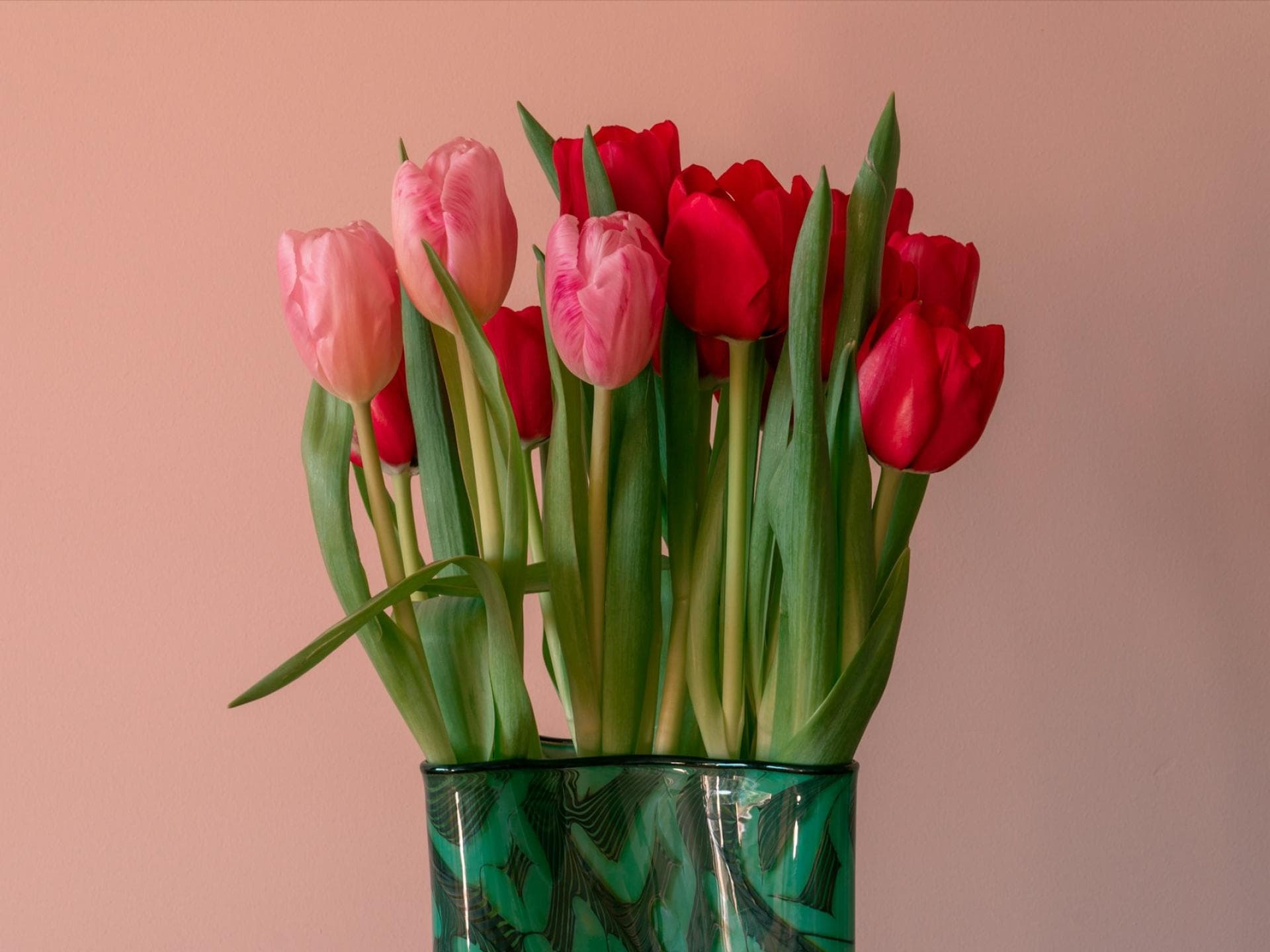 Pinke Tulpen in einer Vase