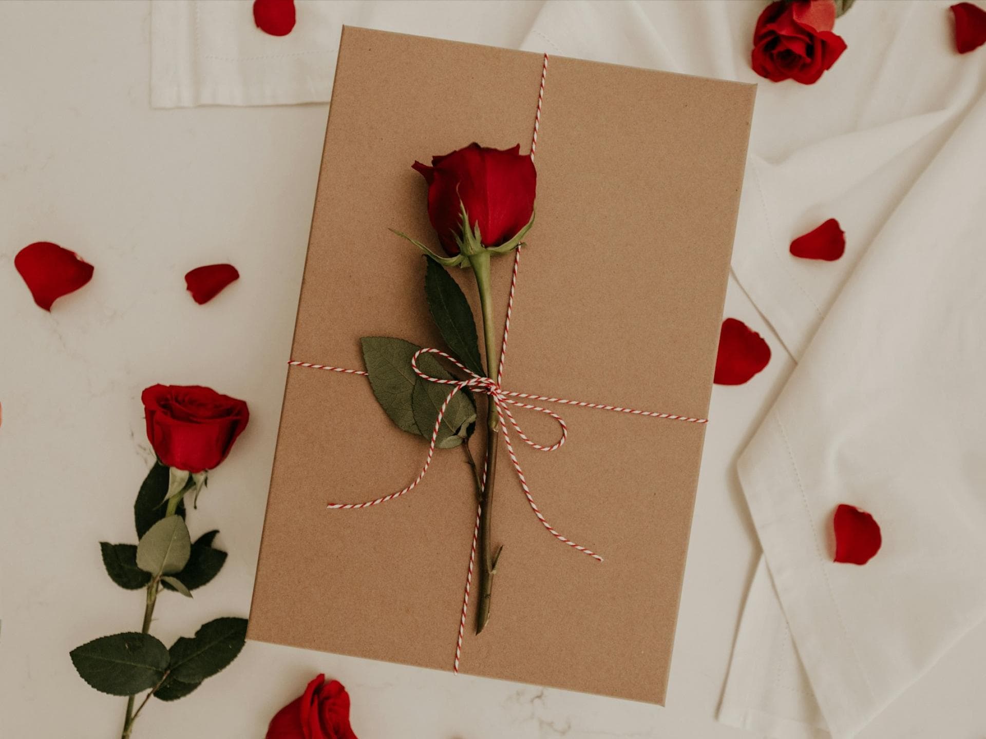 Rose auf einer Box