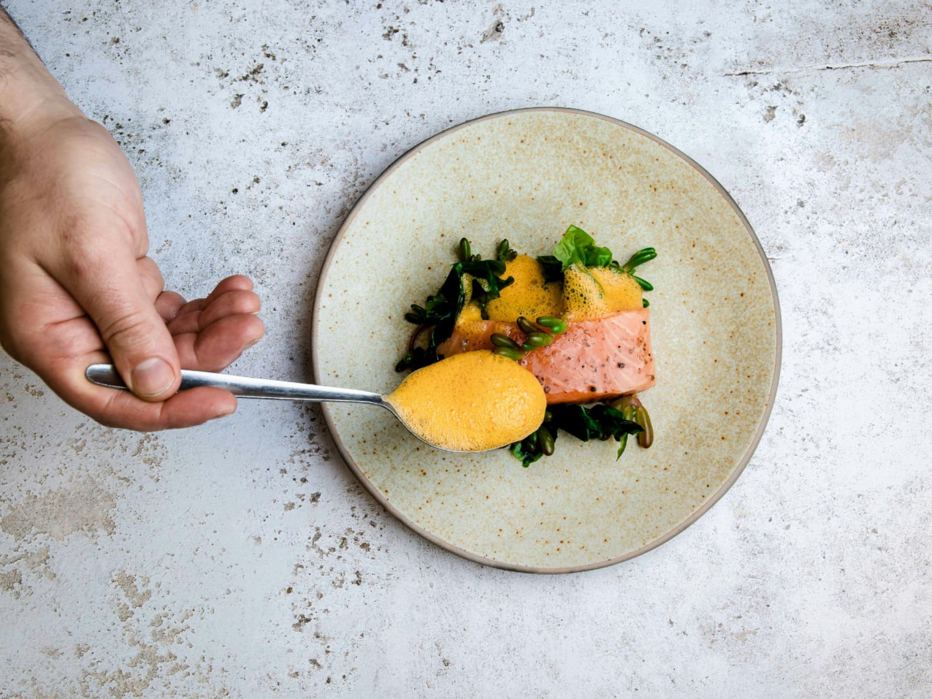 Gebratener Lachs mit Senfsoße