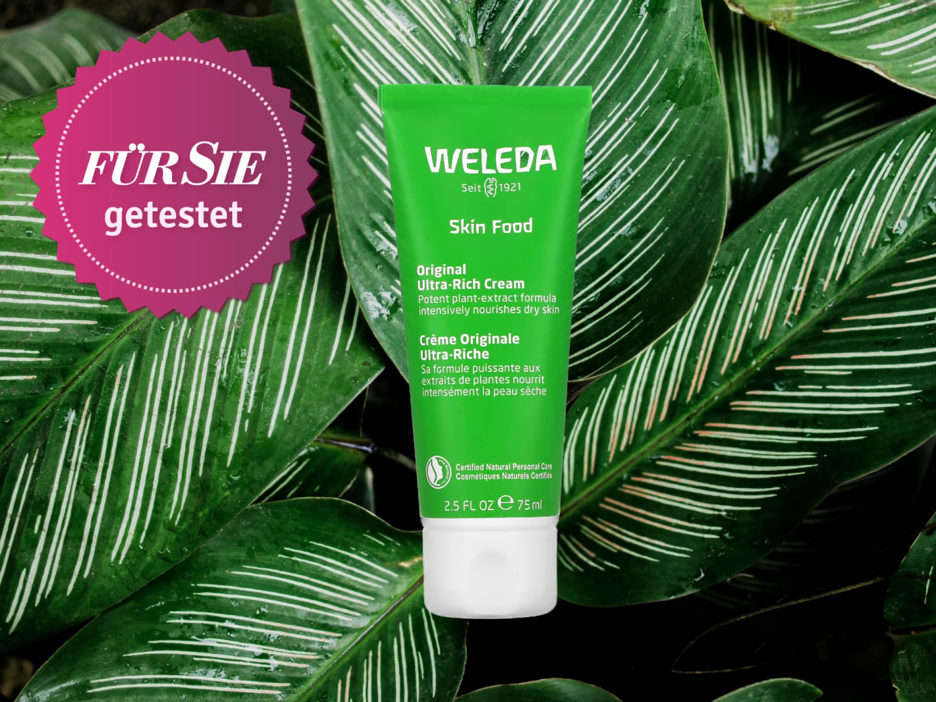 Weleda Skin Food gegen Falten im Test
