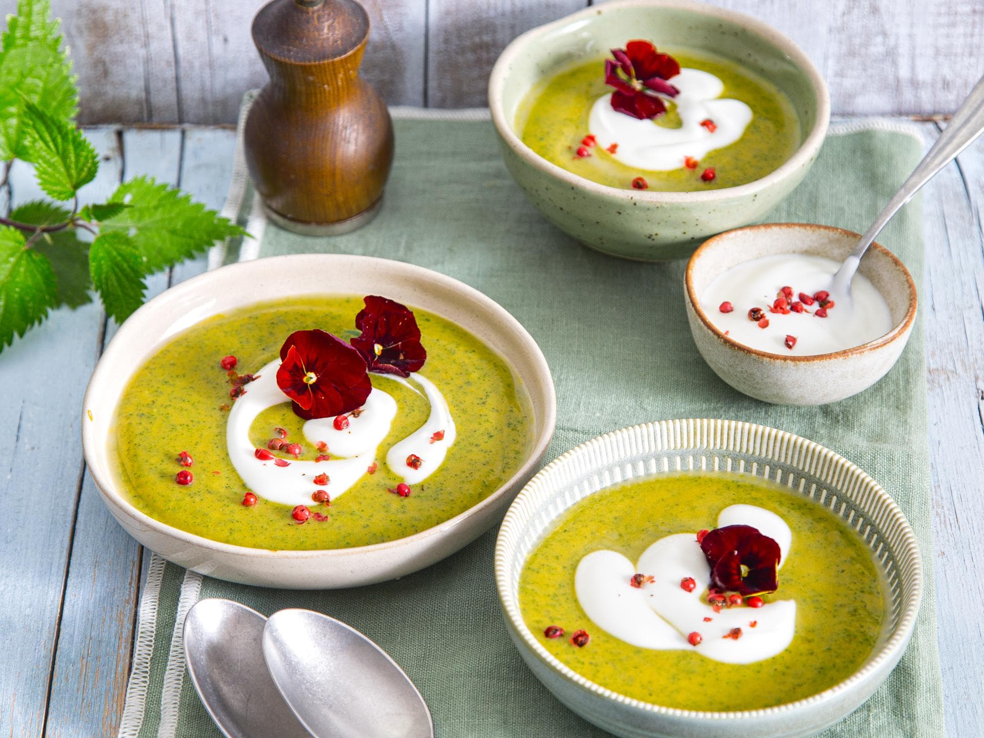 Brennnessel-Süßkartoffel-Suppe 