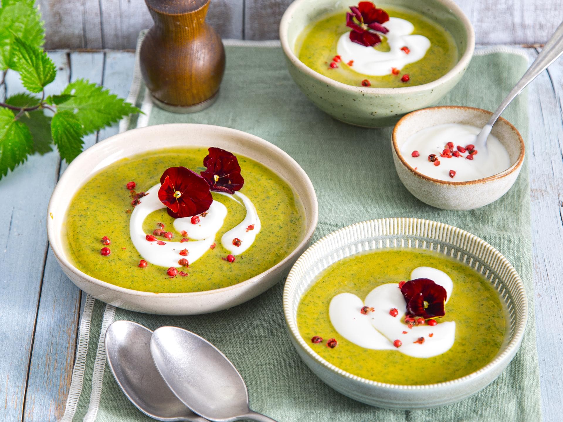 Brennnessel-Süßkartoffel-Suppe Brennnessel-Süßkartoffel-Suppe