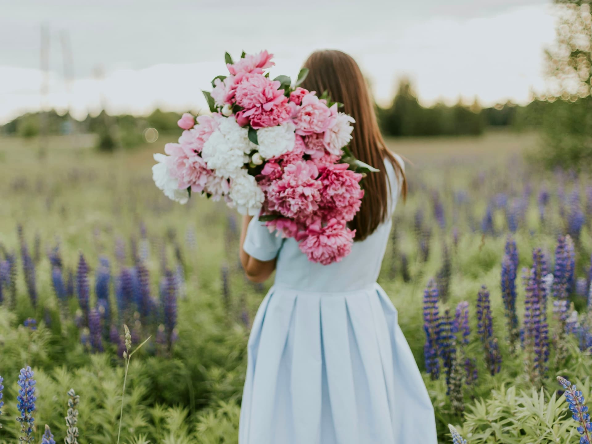 Frau mit Sommerblumen im Arm Frau mit Sommerblumen