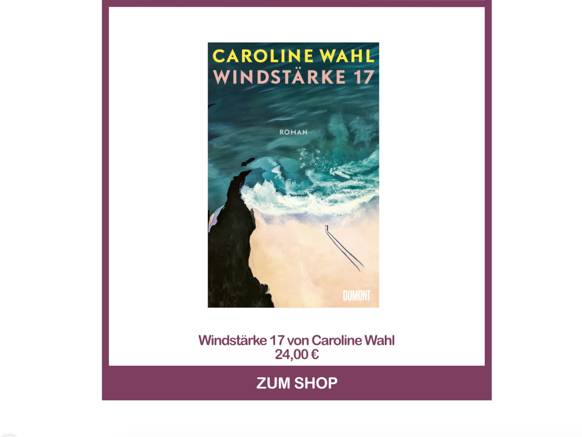 Windstärke 17 von Caroline Wahl