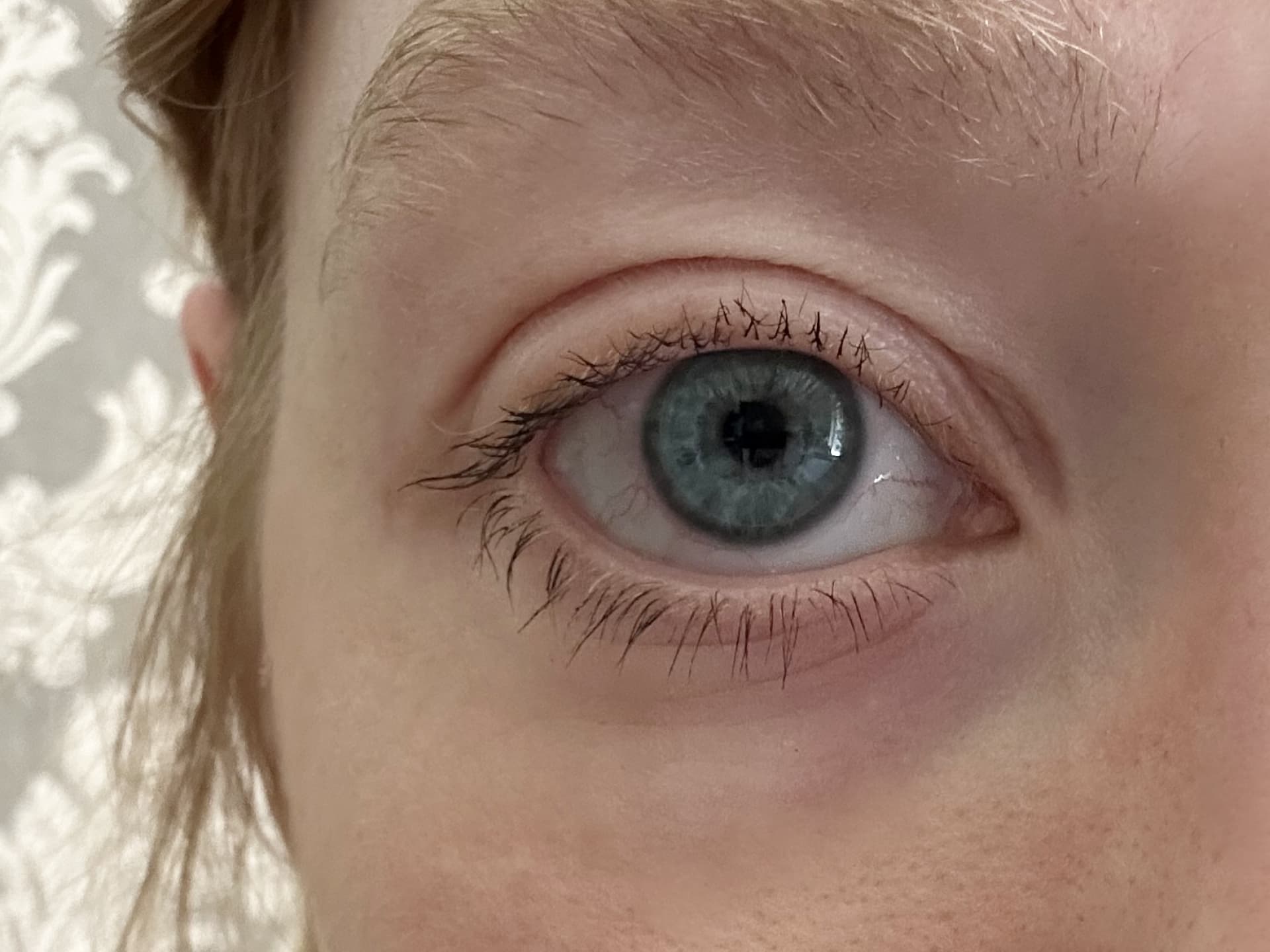 Die Wimpern nach einmaligem Tuschen mit der Fresh Cucumber Volume Mascara von Sante