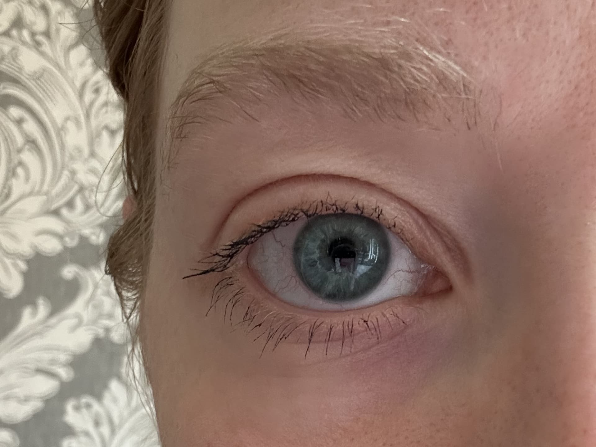 Die Wimpern nach einmaligem Tuschen mit der Natural Beauty Mascara von Benecos