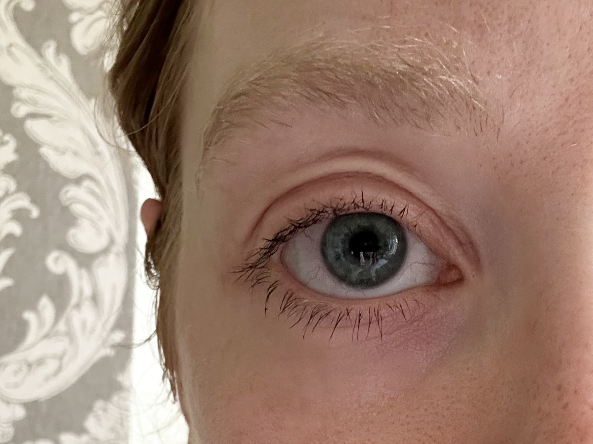 Die Wimpern nach einmaligem Tuschen mit der Defining Mascara von Dr. Hauschka