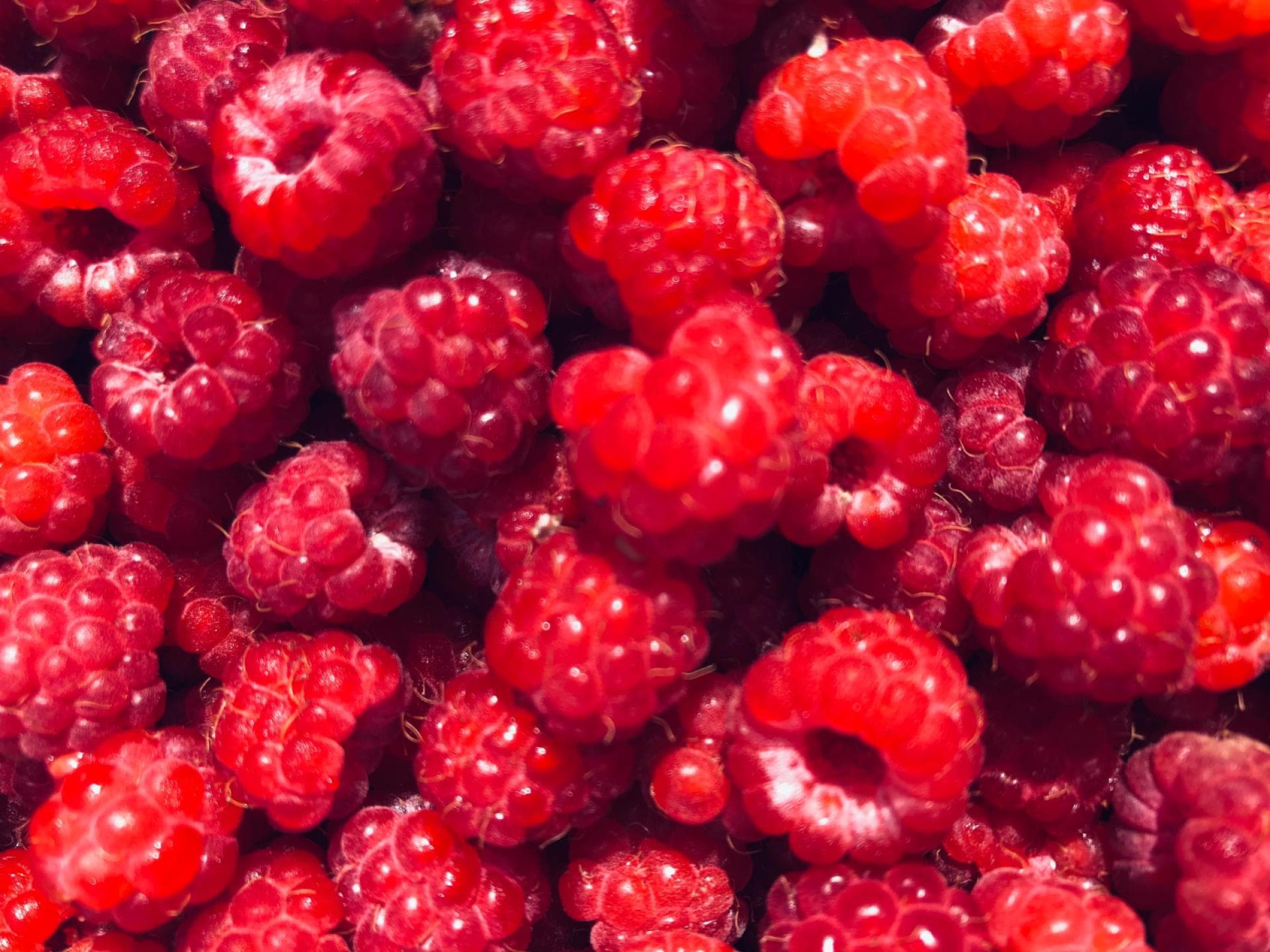 Himbeeren 