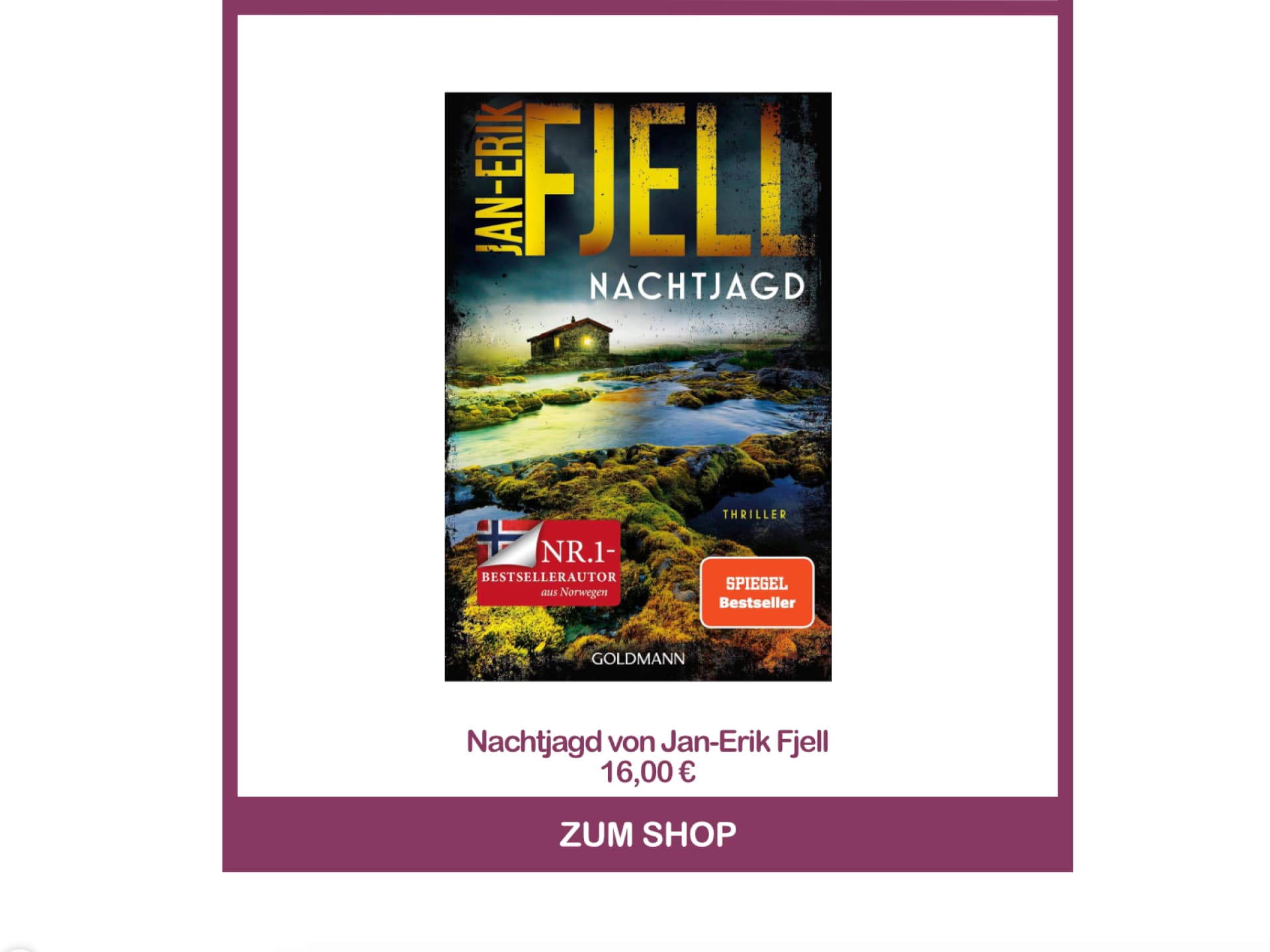 Norwegen-Krimi Nachtjagd von Jan-Erik Fjell