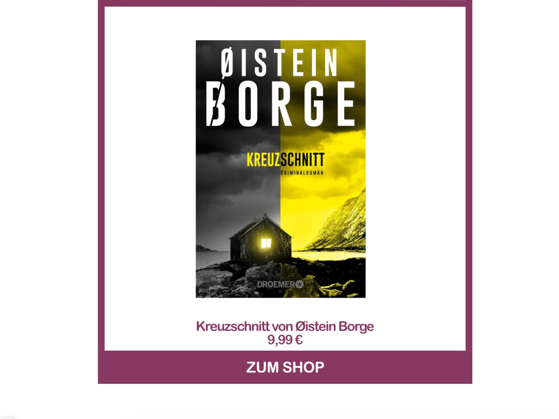 Norwegen-Krimi - Kreuzschnitt von Øistein Borge