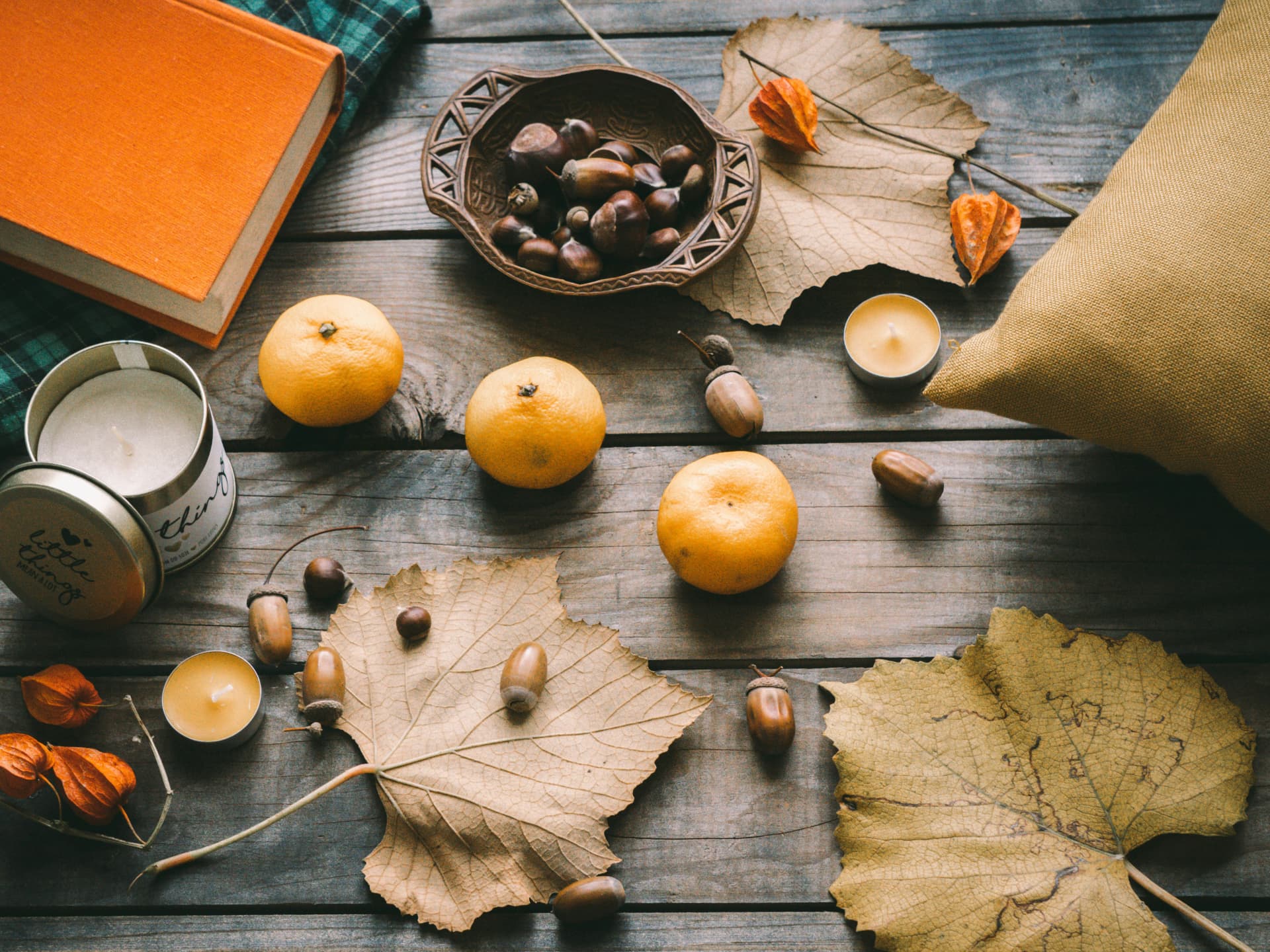 Der Herbst ist die gemütlichste Zeit des Jahres Herbst