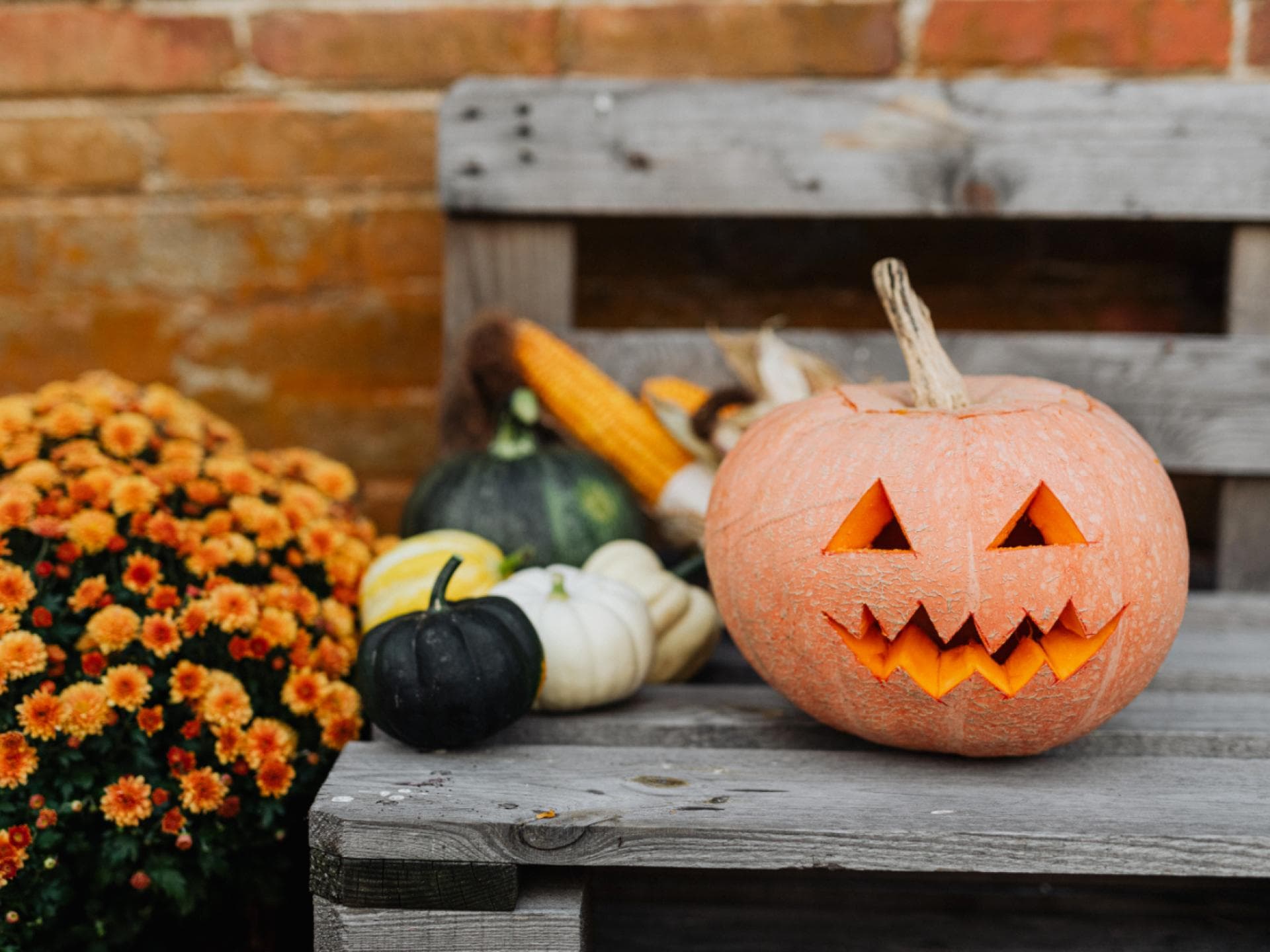 Kürbis für Halloween 