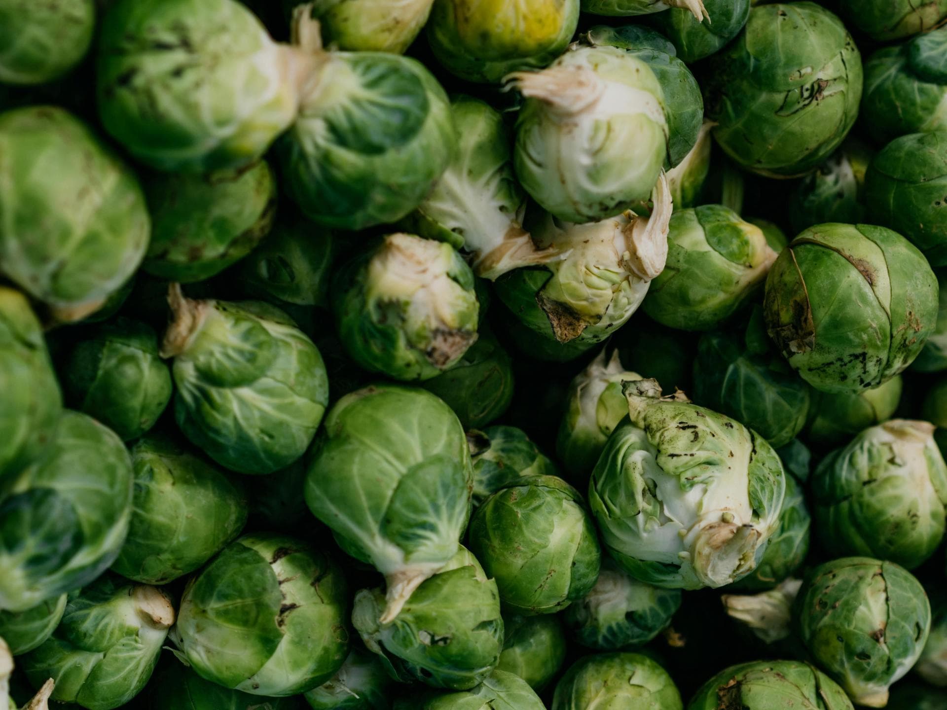 Rosenkohl