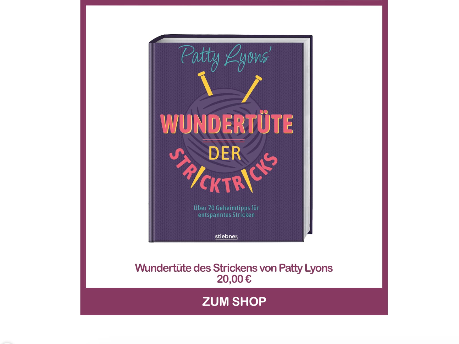 Strickbuch für Anfänger - Wundertüte des Strickens von Patty Lyons