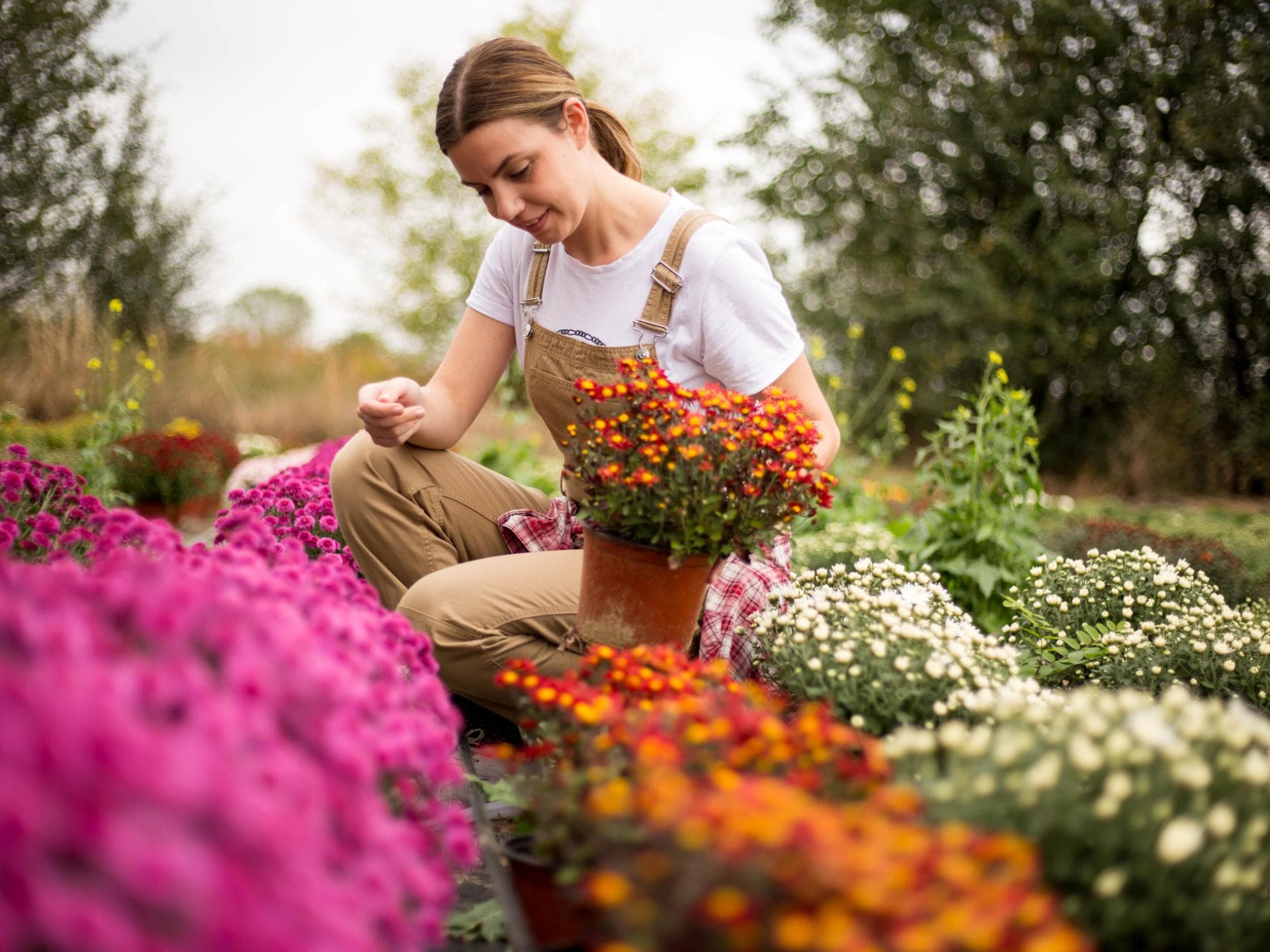 Was im Herbst pflanzen? 