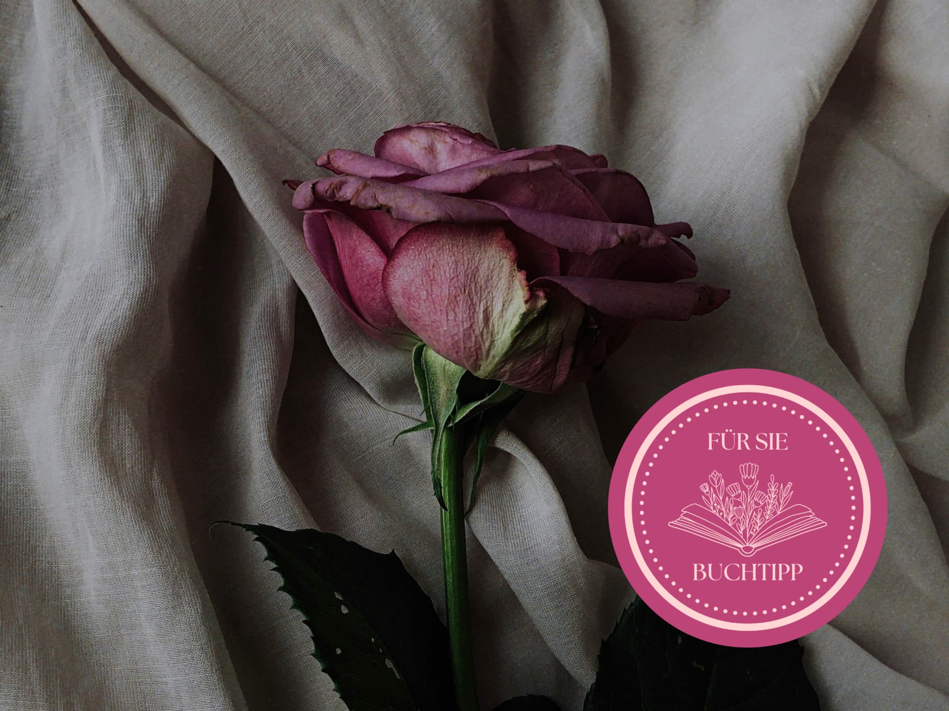 Dark Romance Buchtipps