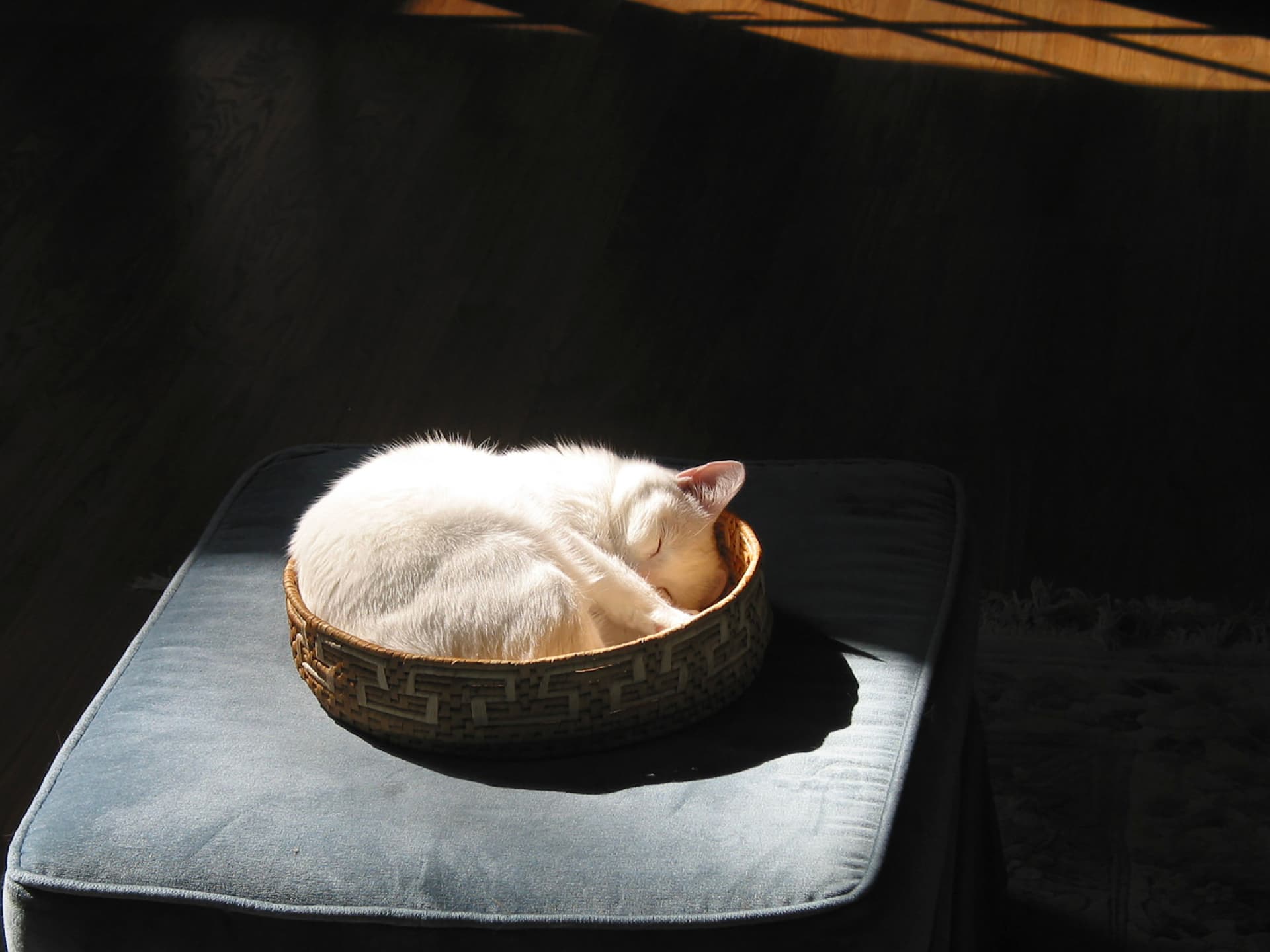 Weihnachtsgeschenke häkeln - Katzenkörbchen