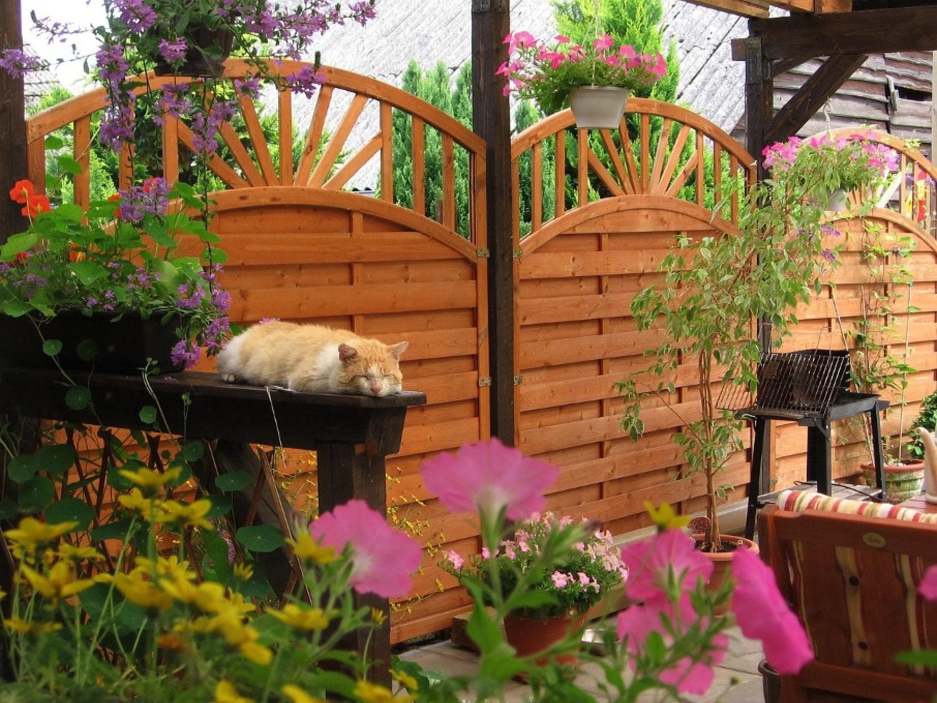 Die perfekte Überdachung für eine kleine Terrasse