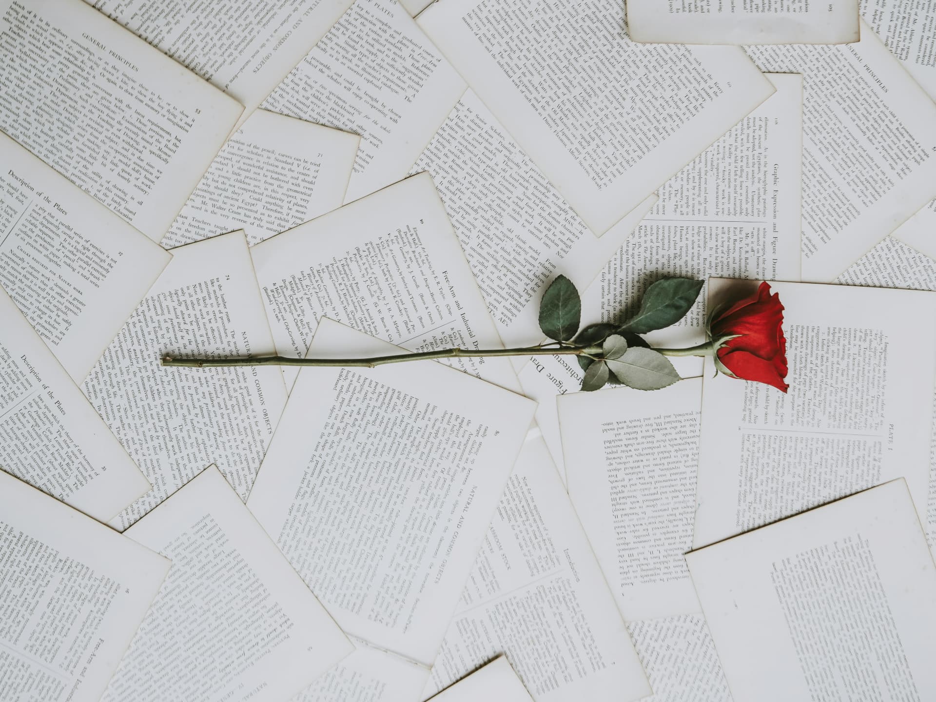 Die besten Enemies to Lovers Bücher