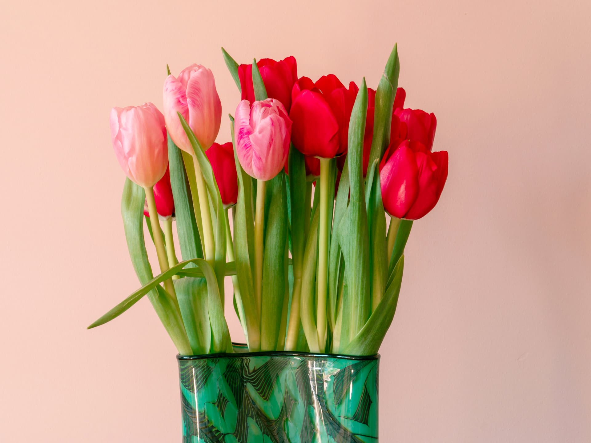 Tulpen, die länger frisch bleiben