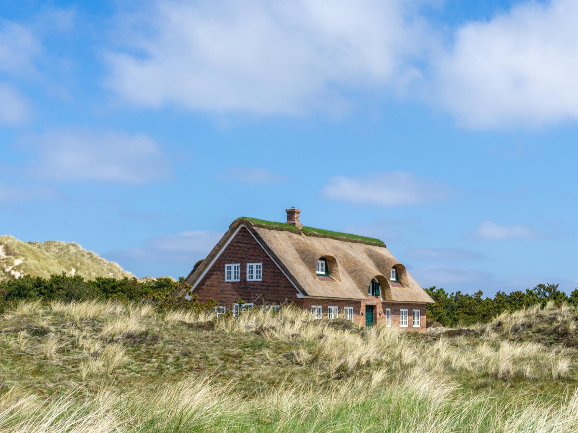 Hütte in Dänemark 