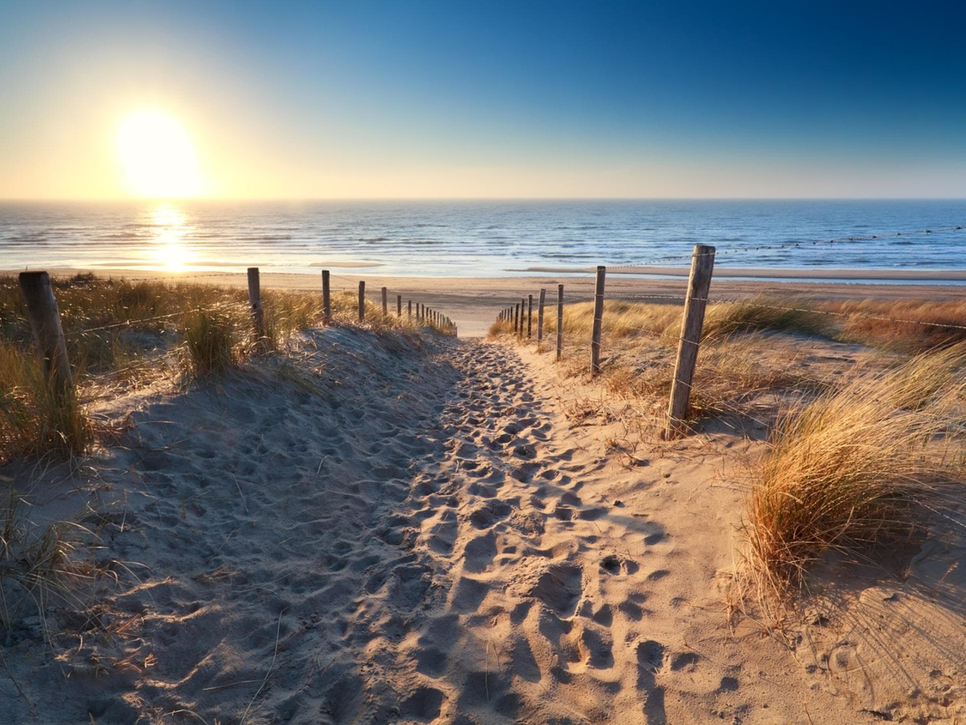 Strand in den Niederlanden 