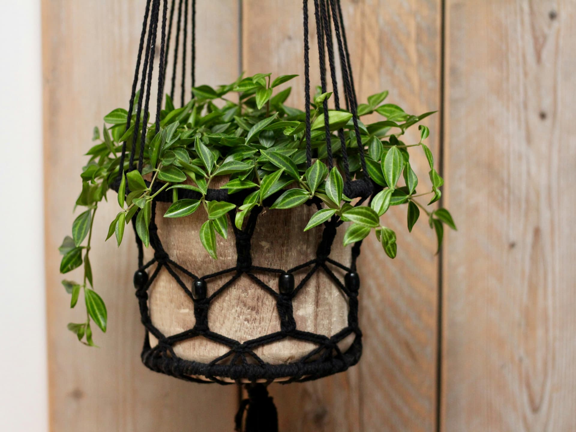 Kleinen Balkon gestalten - Blumenampel