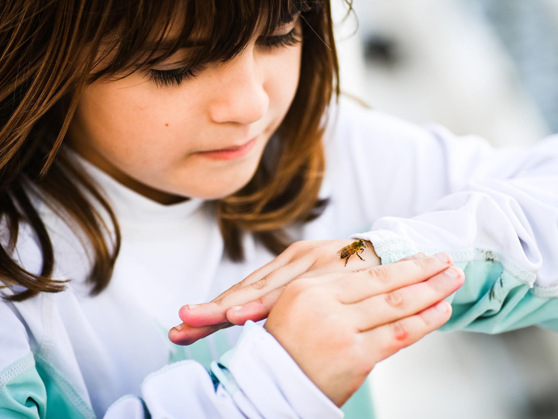 Alk Albelo Allergiespray Alk Albelo Allergiespray