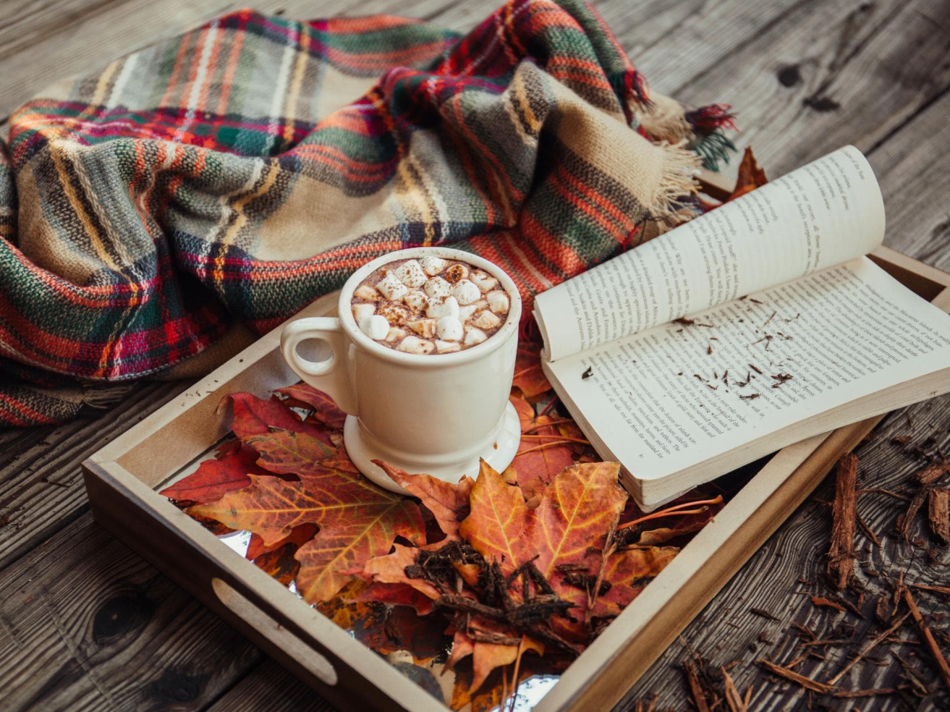 Ein heißes Getränk, ein Buch und eine Decke sorgen für eine perfekte Auszeit im Herbst