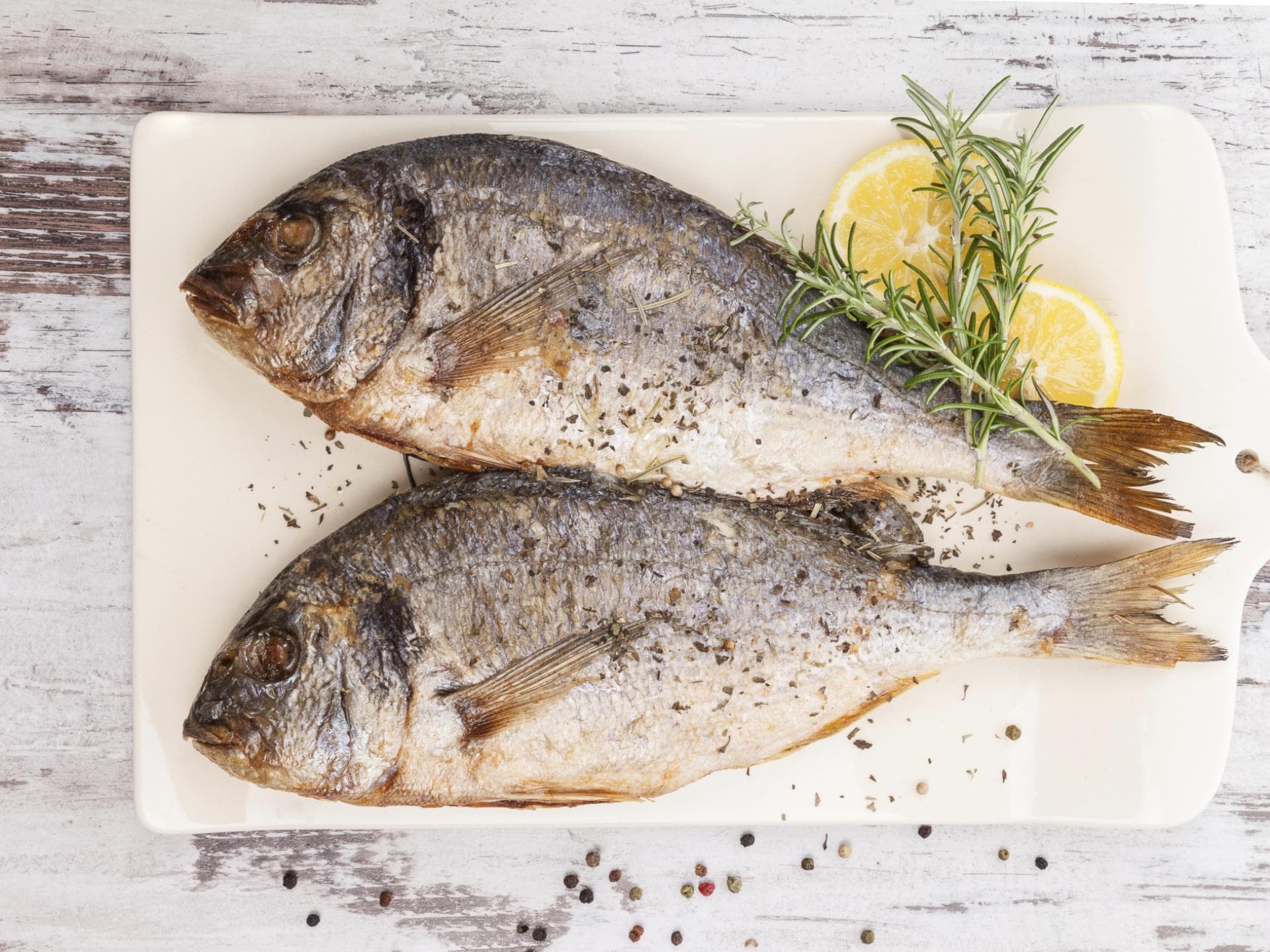 Fisch richtig zubereiten - So gelingt Ihnen das perfekte Fischgericht