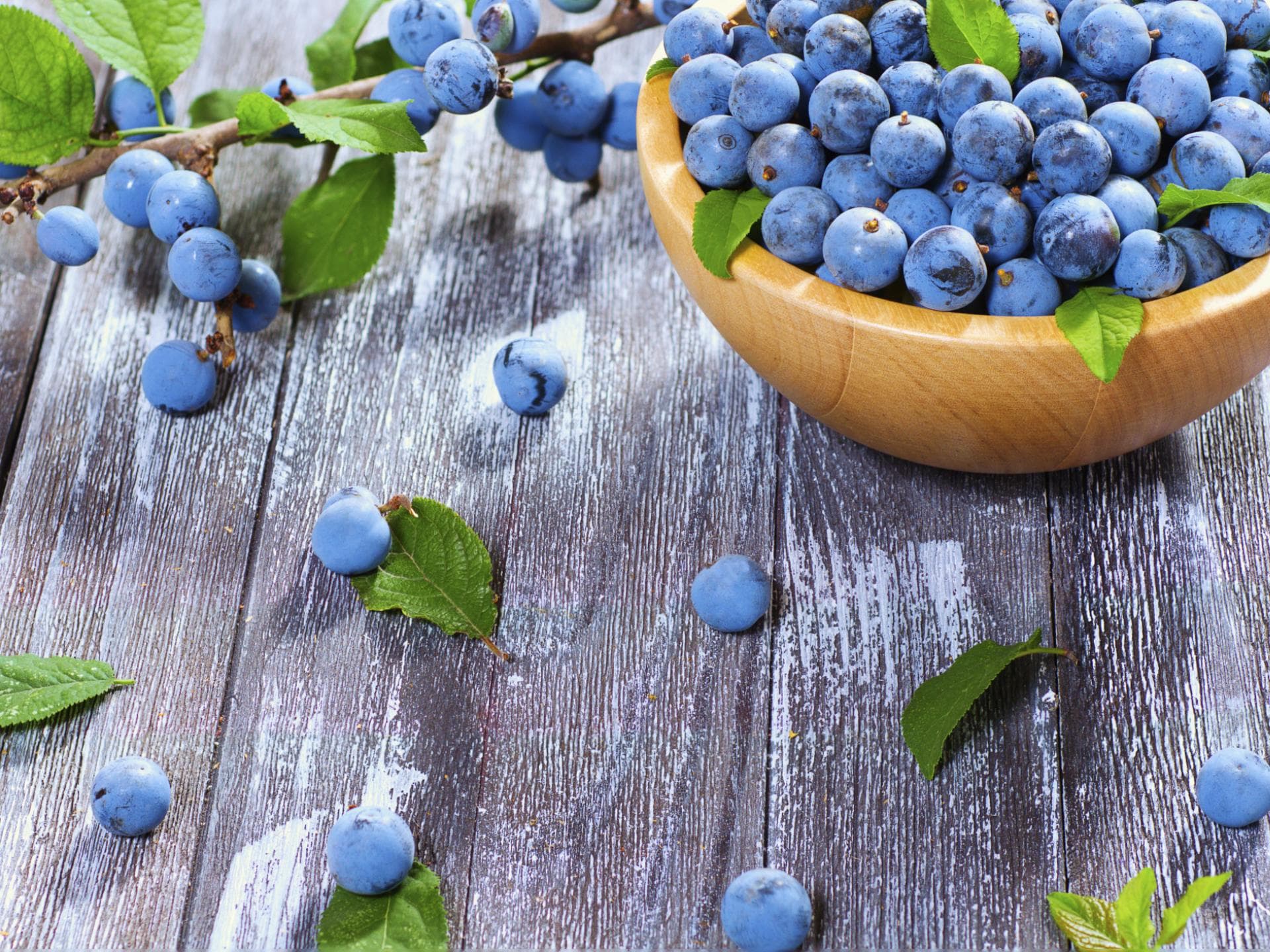 Schlehen in Schale - Alles über Schlehen - Rezepte und Tipps 