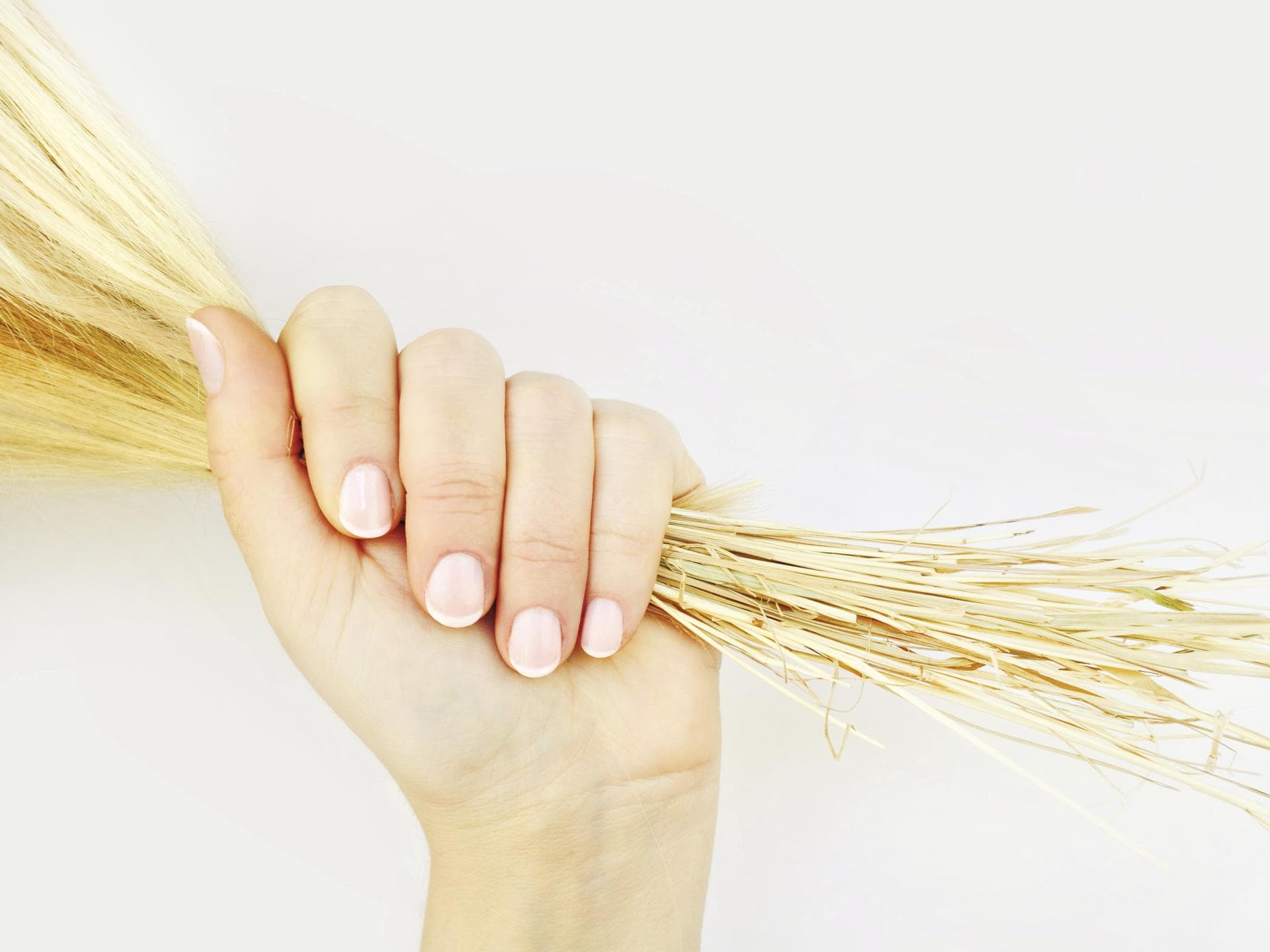 Haare wie Stroh - Pflege für jeden Haartyp 