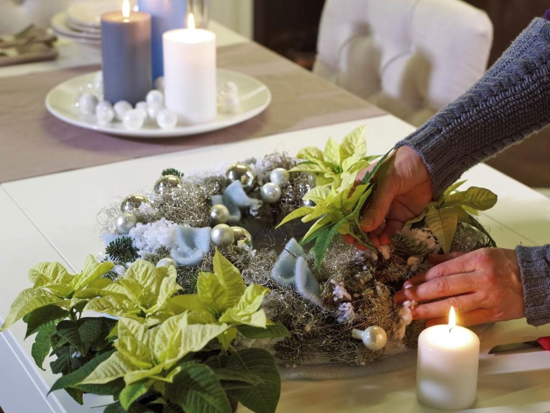 Adventskranz wird mit Weihnachtssternen gesteckt