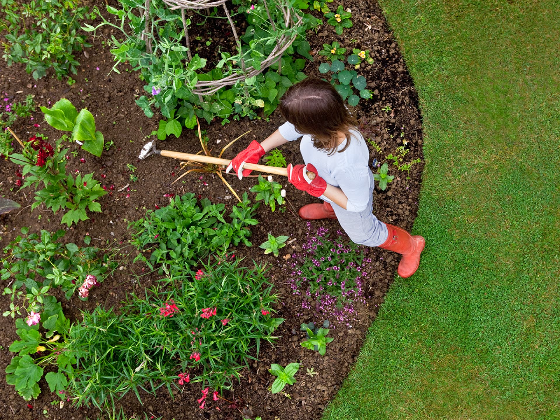 Alternative Unkrautvernichter