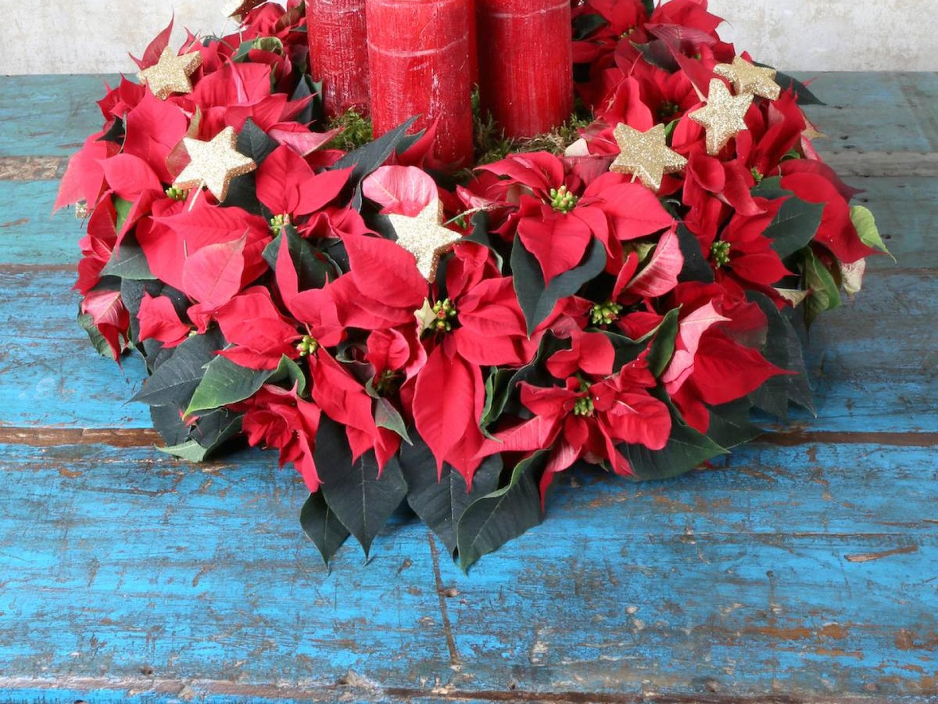 Adventskranz gold mit roten Weihnachtssternen Adventskranz mit roten Weihnachtsblumen