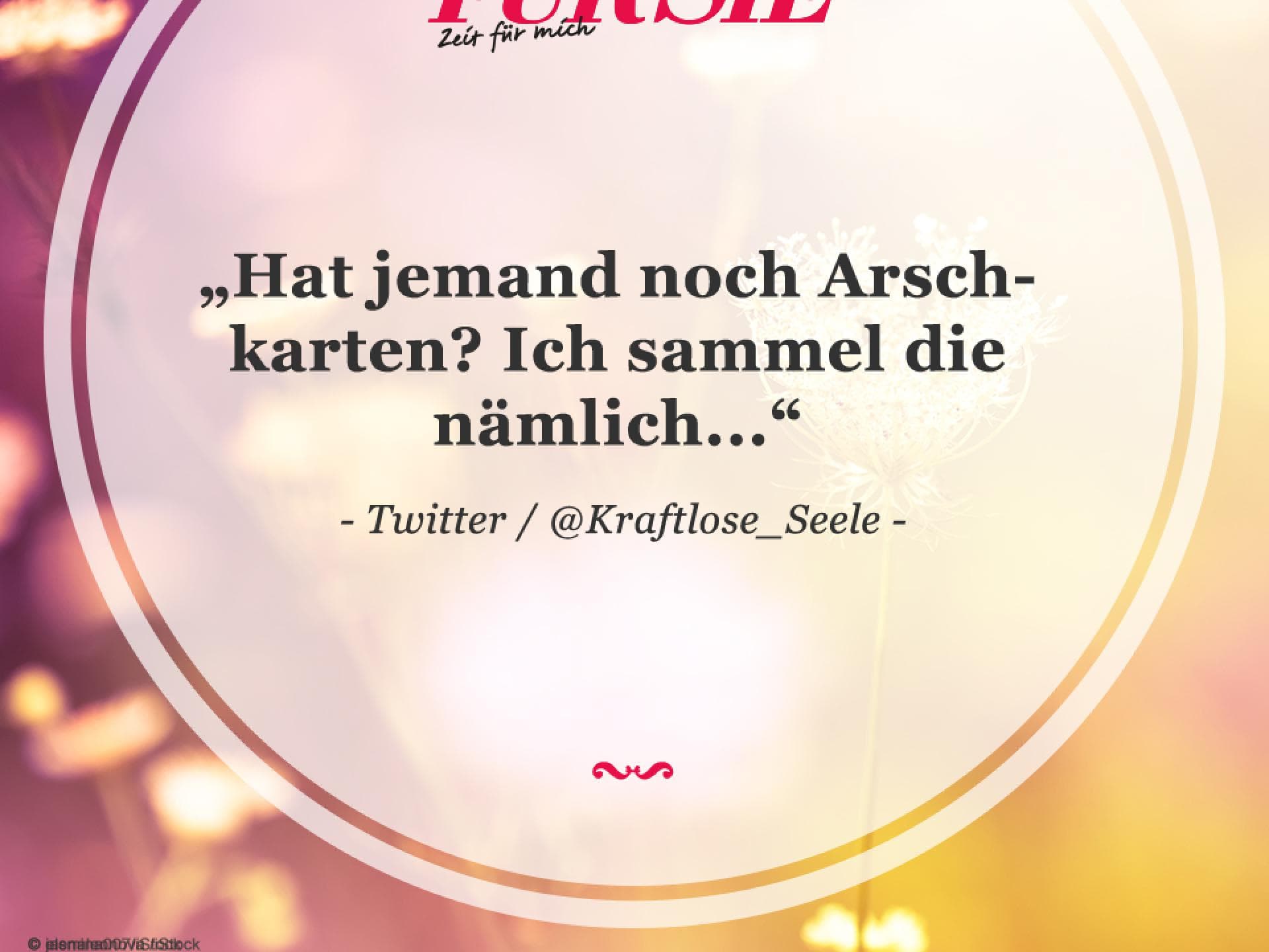 Spruch des Tages