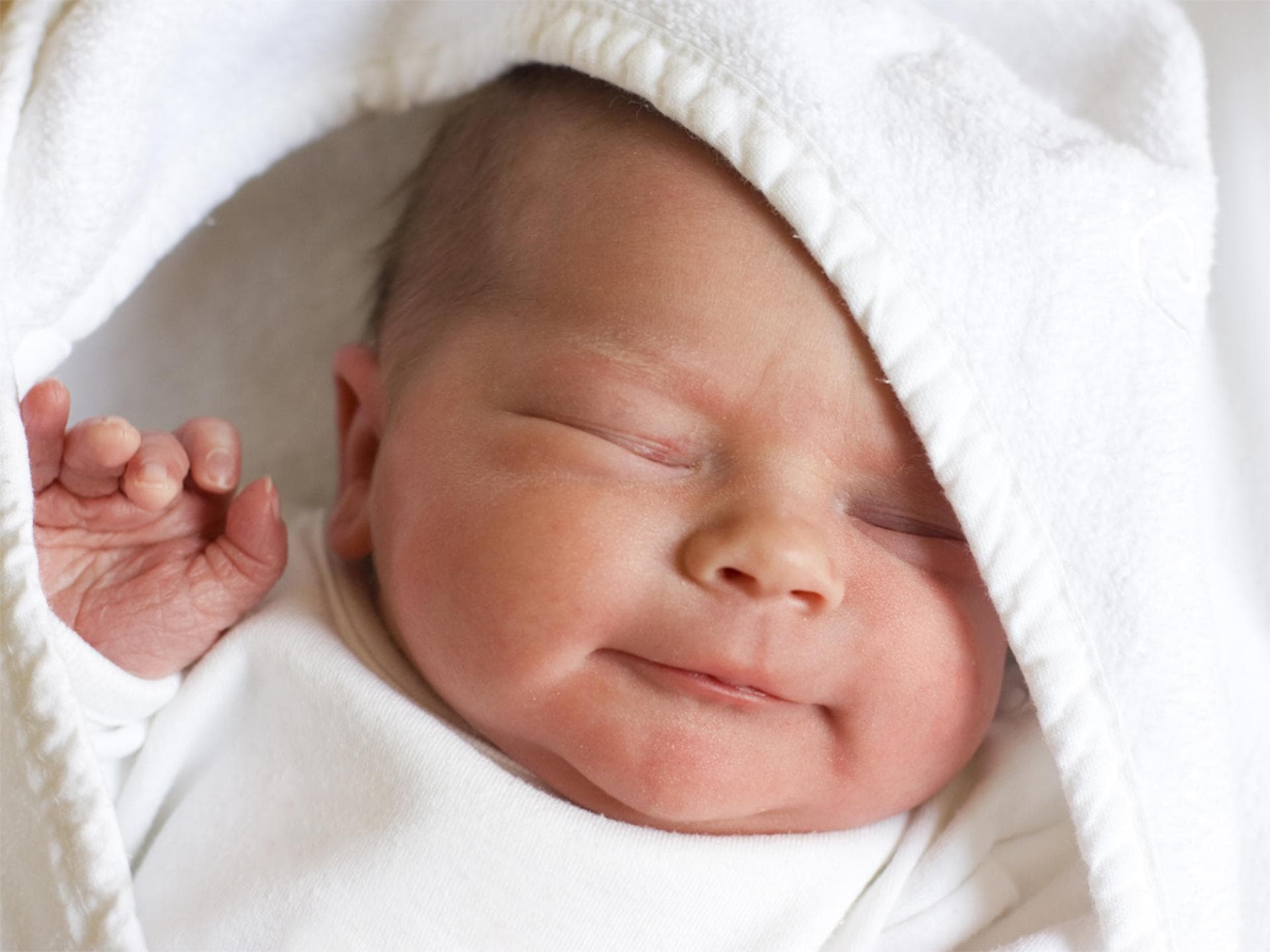 Der Kinderwunsch