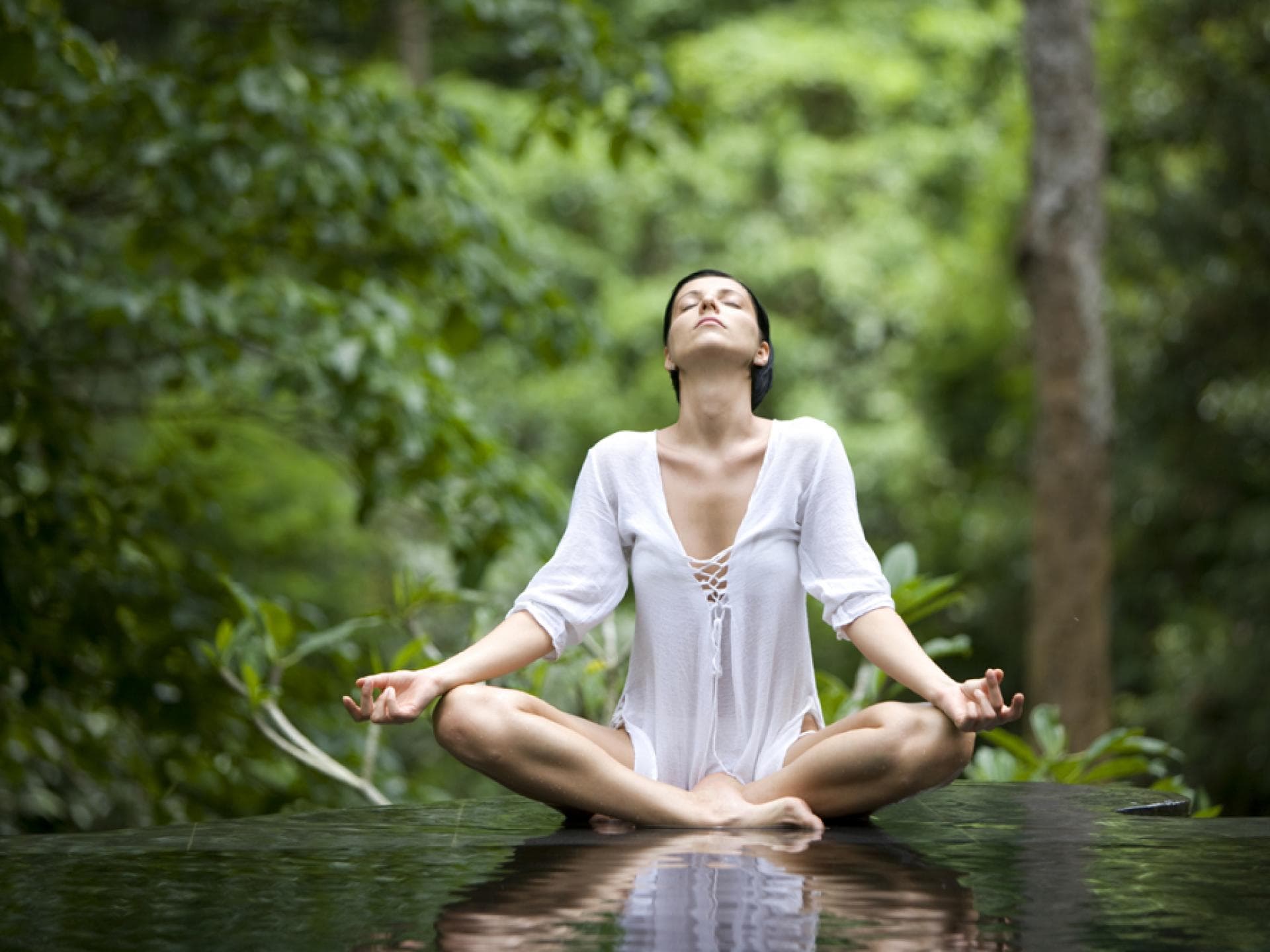 Eine Frau macht den Yoga Lotus-Sitz Eine Frau macht den Yoga Lotus-Sitz in einem grünen Wald